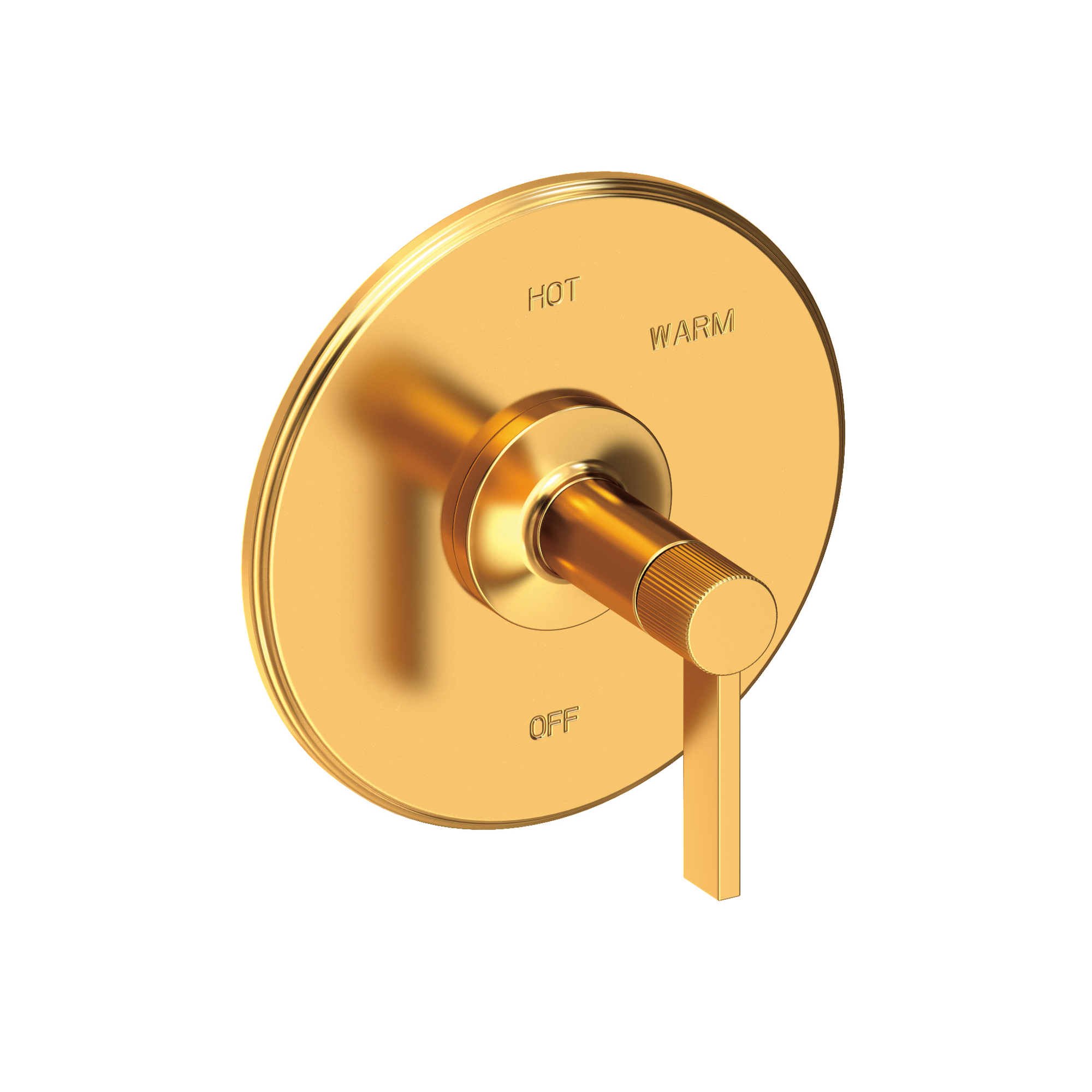 Newport Brass Pardees® Balanced Pressure Shower Trim Plate with Handle