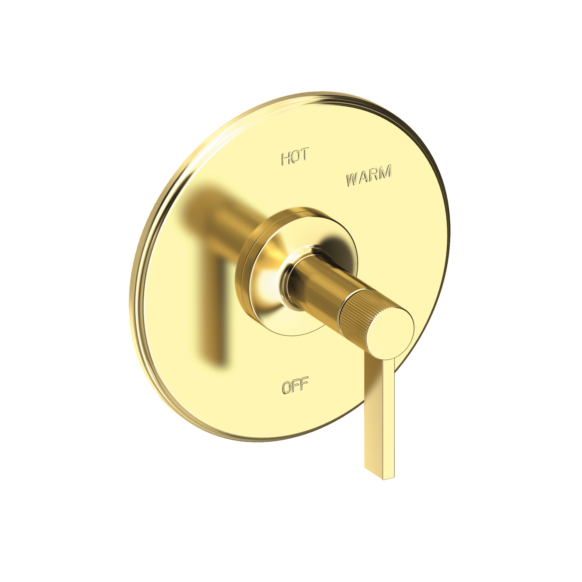 Newport Brass Pardees® Balanced Pressure Shower Trim Plate with Handle