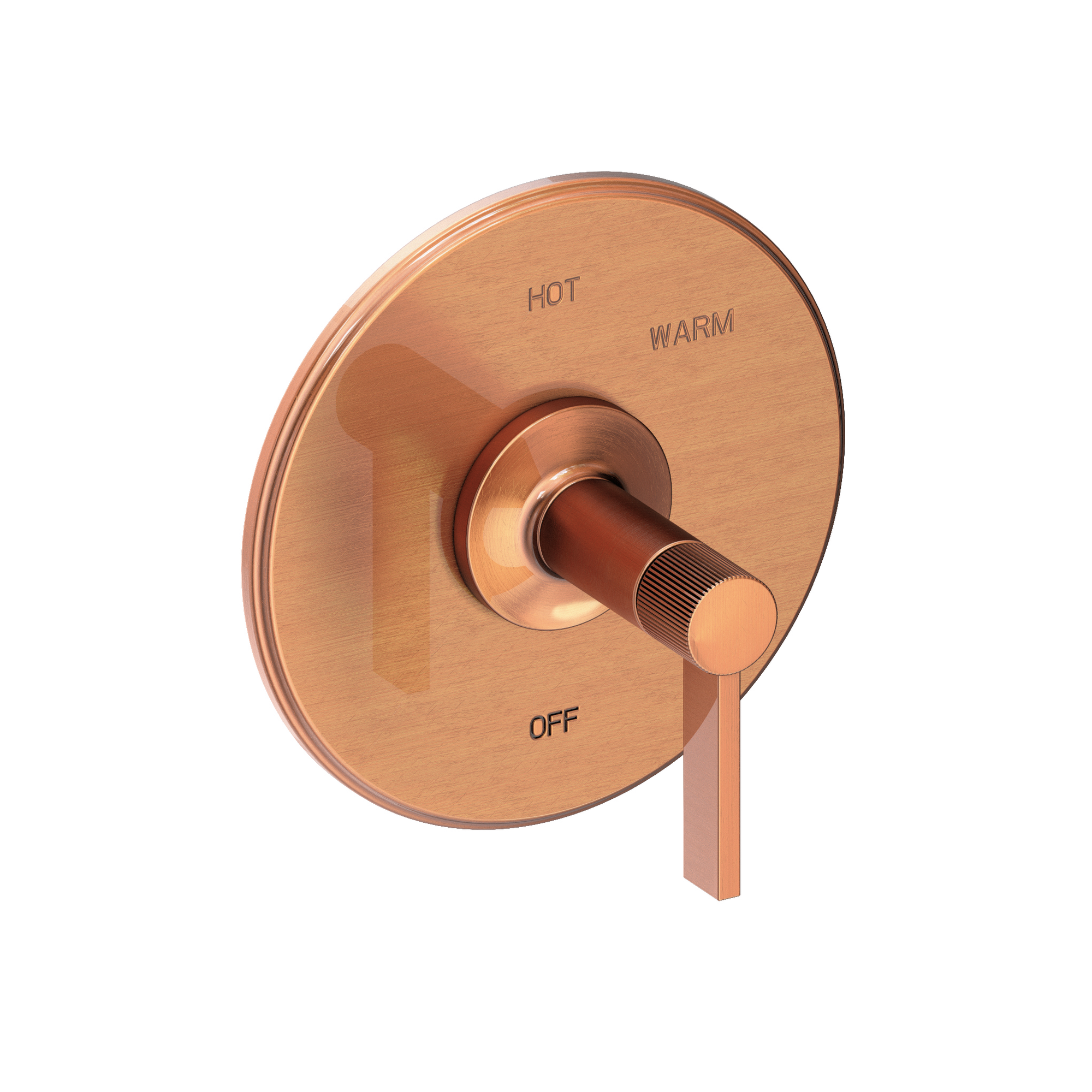 Newport Brass Pardees® Balanced Pressure Shower Trim Plate with Handle