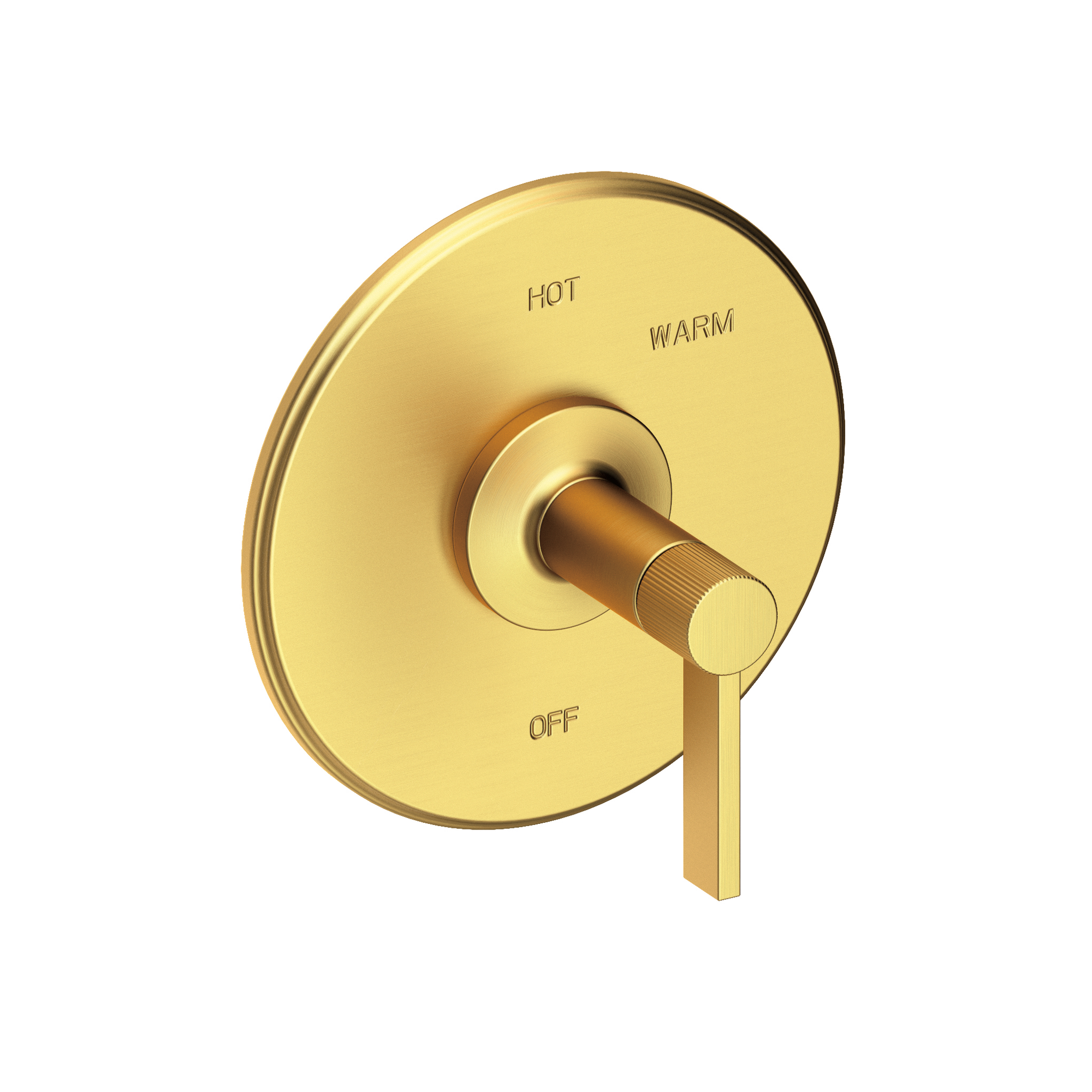 Newport Brass Pardees® Balanced Pressure Shower Trim Plate with Handle