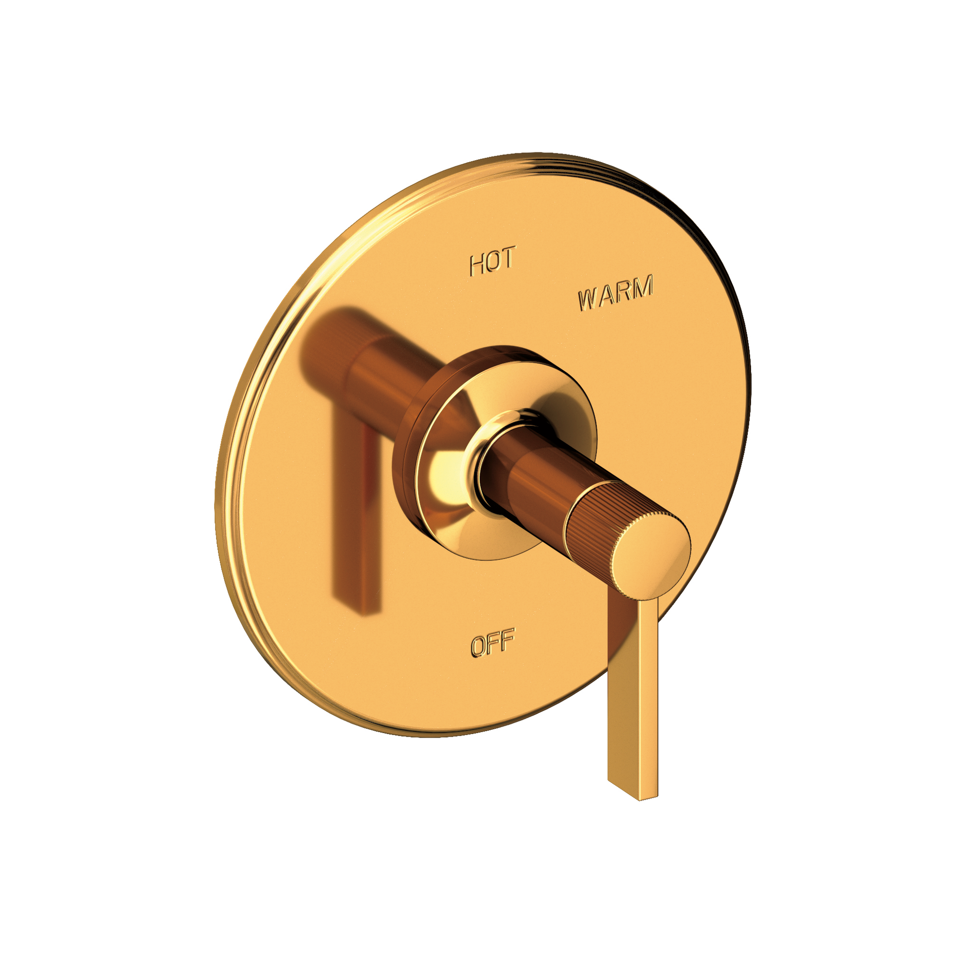 Newport Brass Pardees® Balanced Pressure Shower Trim Plate with Handle