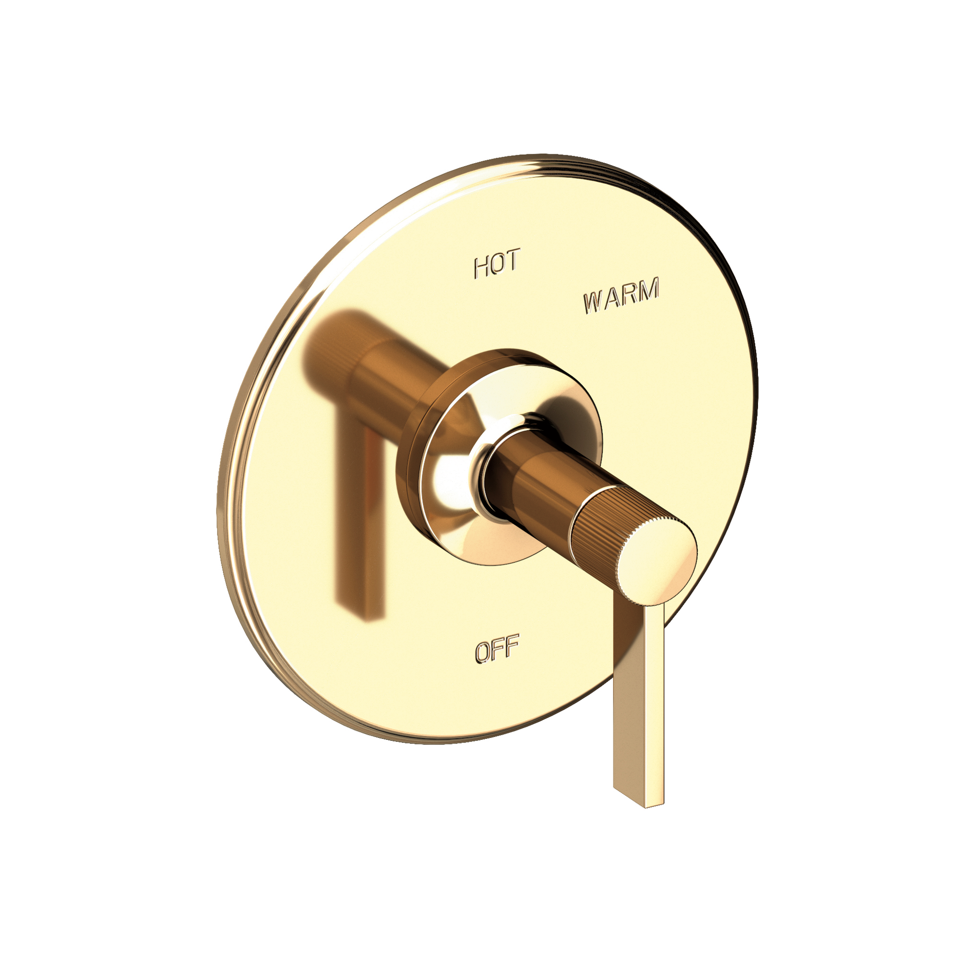Newport Brass Pardees® Balanced Pressure Shower Trim Plate with Handle