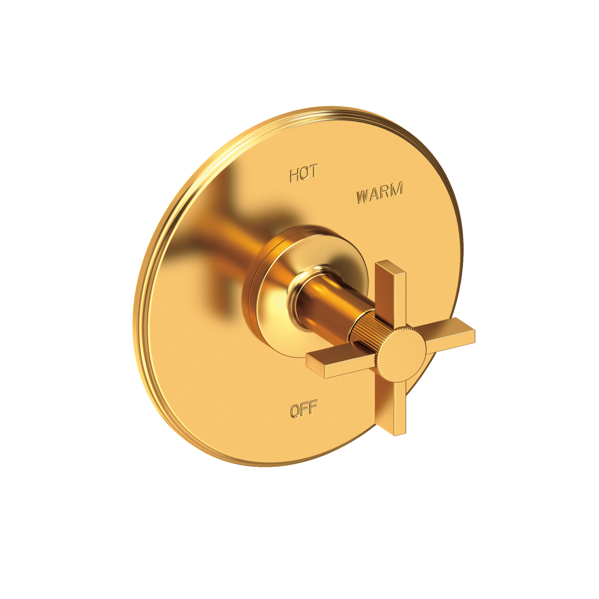 Newport Brass Pardees® Balanced Pressure Shower Trim Plate with Handle