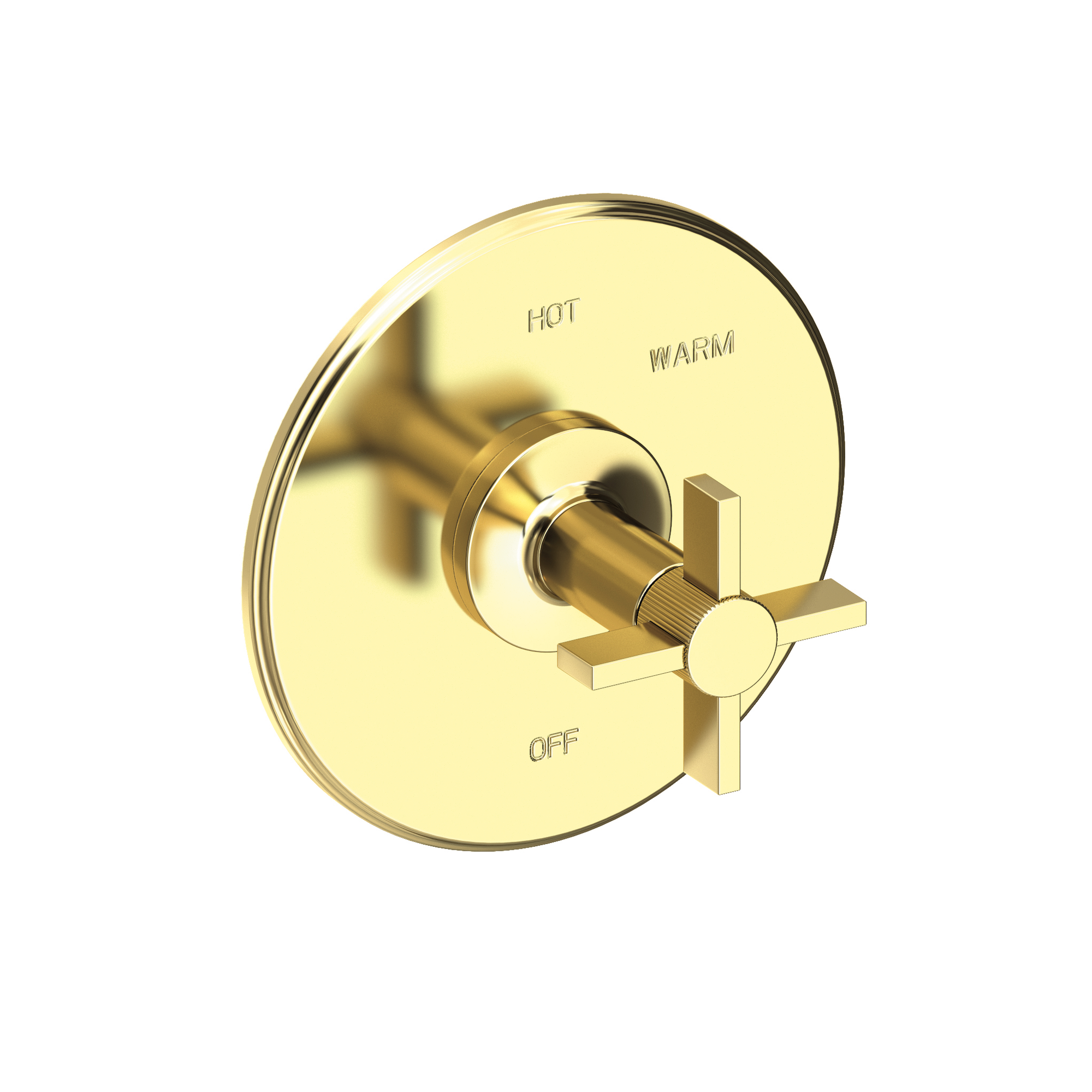 Newport Brass Pardees® Balanced Pressure Shower Trim Plate with Handle