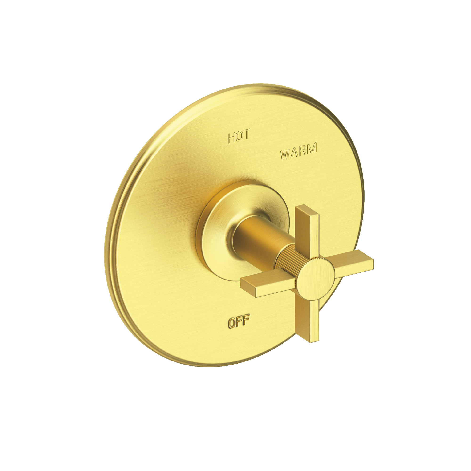 Newport Brass Pardees® Balanced Pressure Shower Trim Plate with Handle