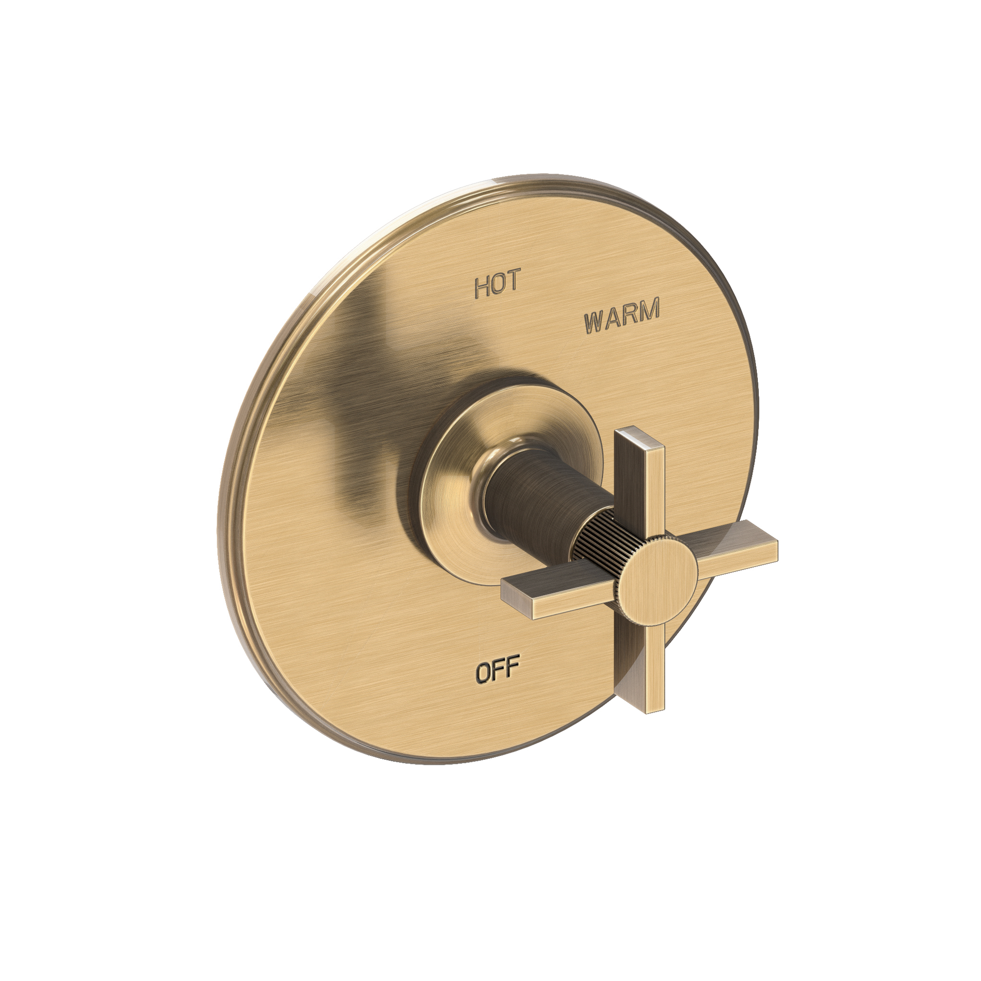 Newport Brass Pardees® Balanced Pressure Shower Trim Plate with Handle
