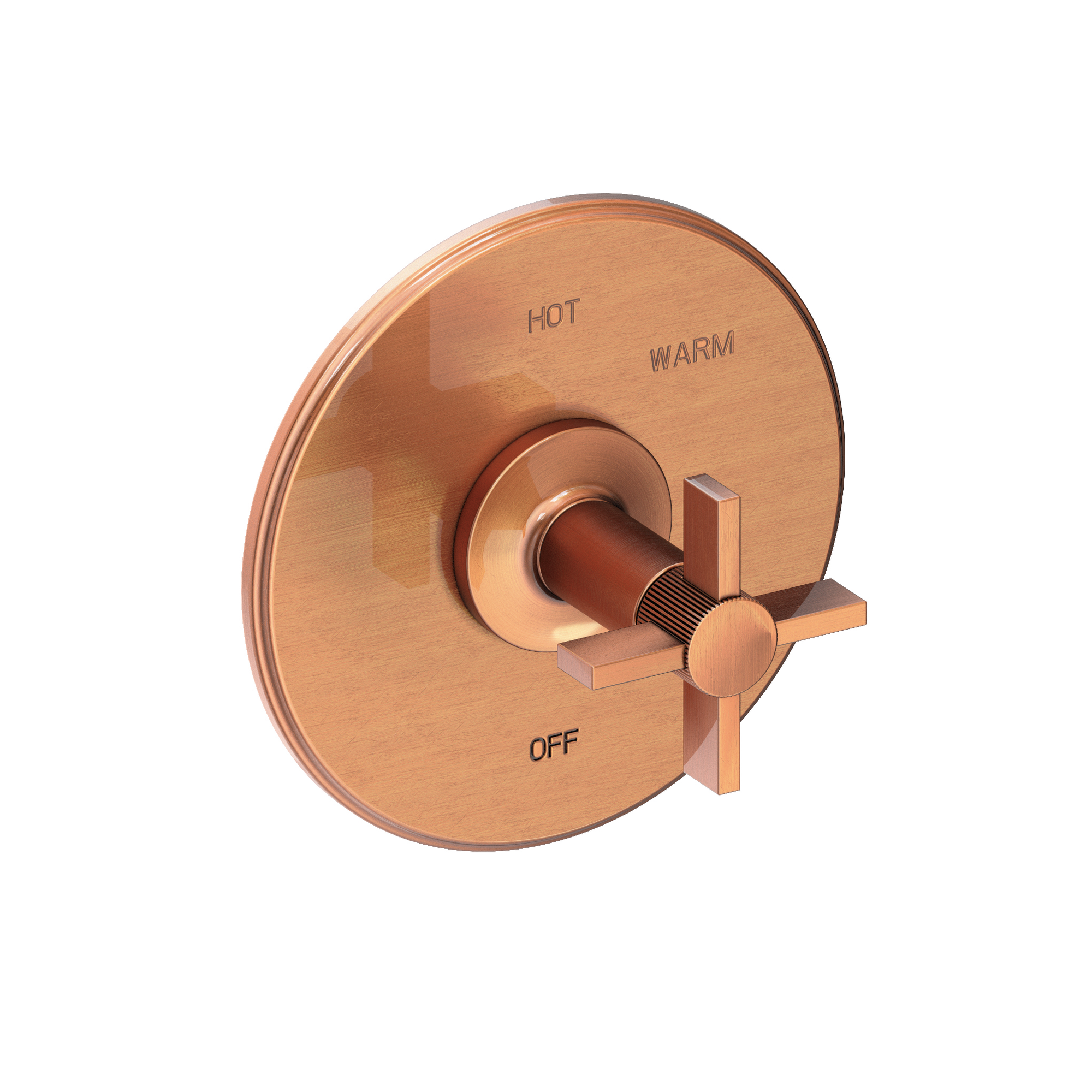 Newport Brass Pardees® Balanced Pressure Shower Trim Plate with Handle