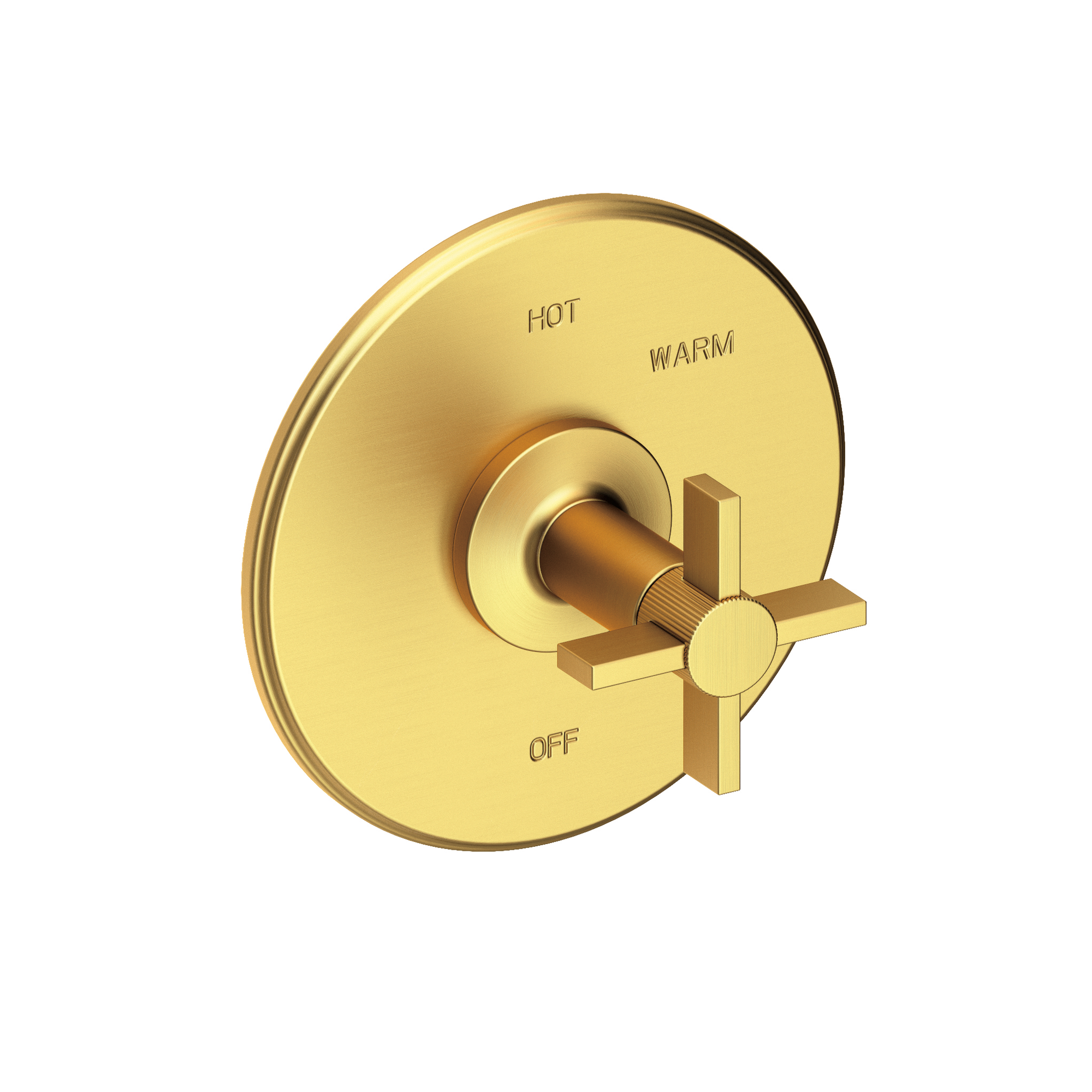 Newport Brass Pardees® Balanced Pressure Shower Trim Plate with Handle