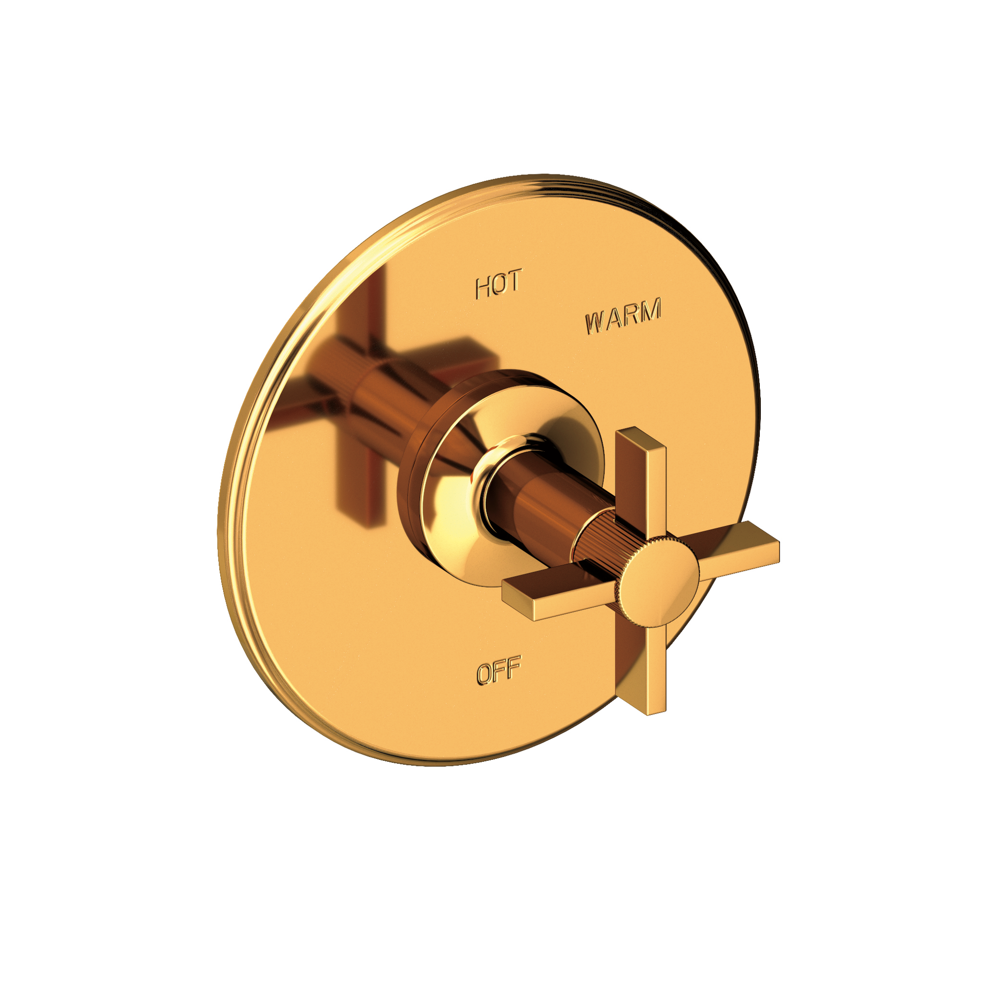 Newport Brass Pardees® Balanced Pressure Shower Trim Plate with Handle