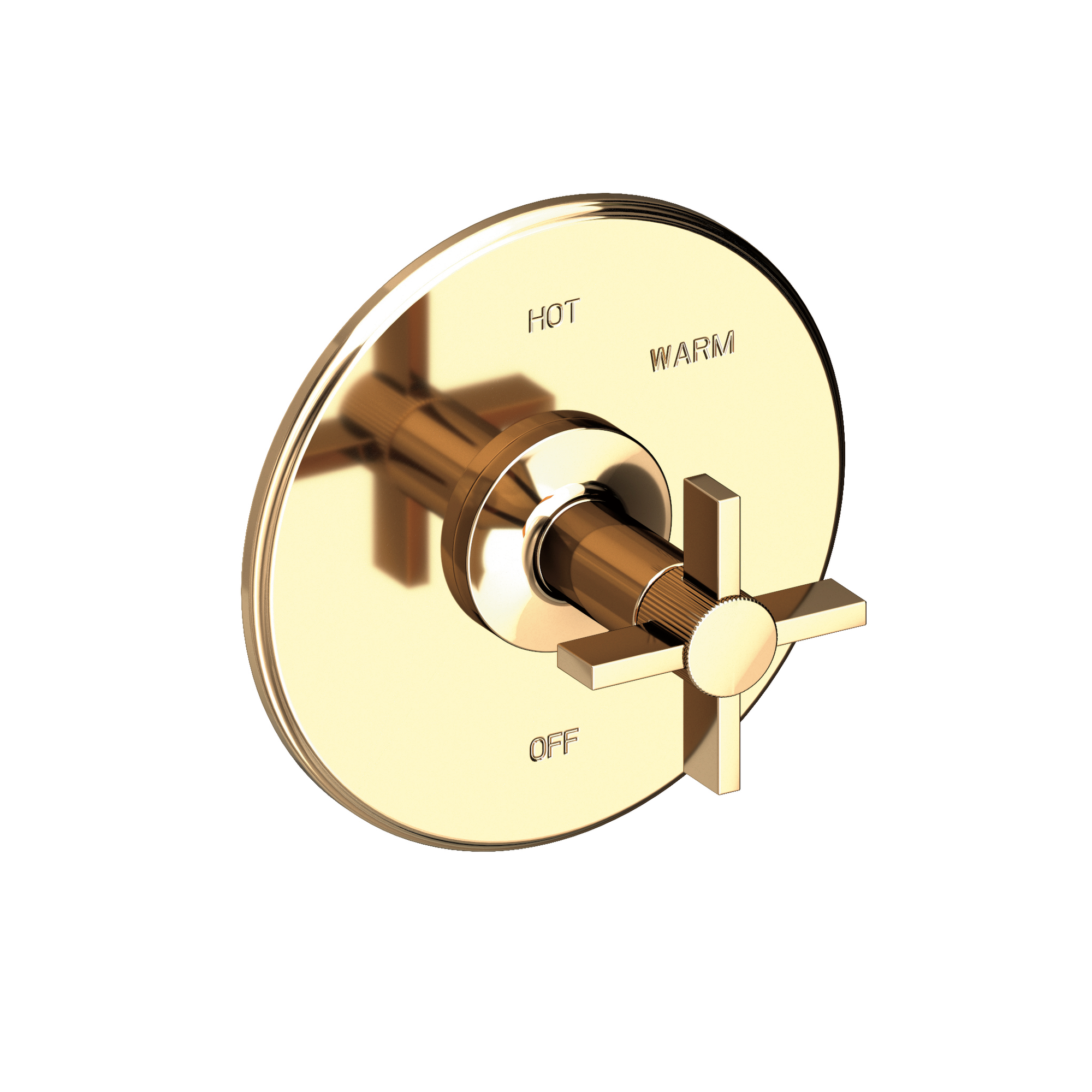 Newport Brass Pardees® Balanced Pressure Shower Trim Plate with Handle