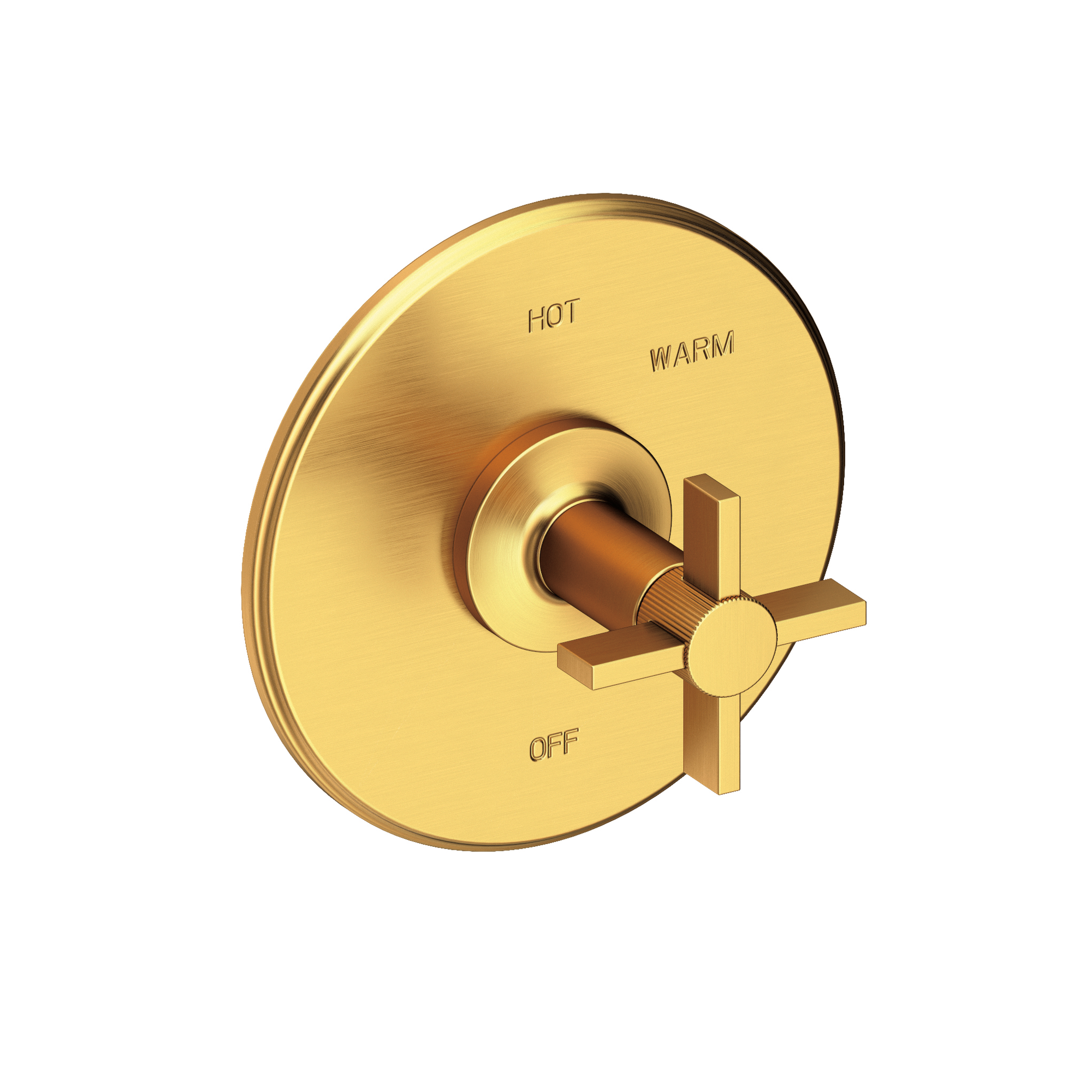 Newport Brass Pardees® Balanced Pressure Shower Trim Plate with Handle