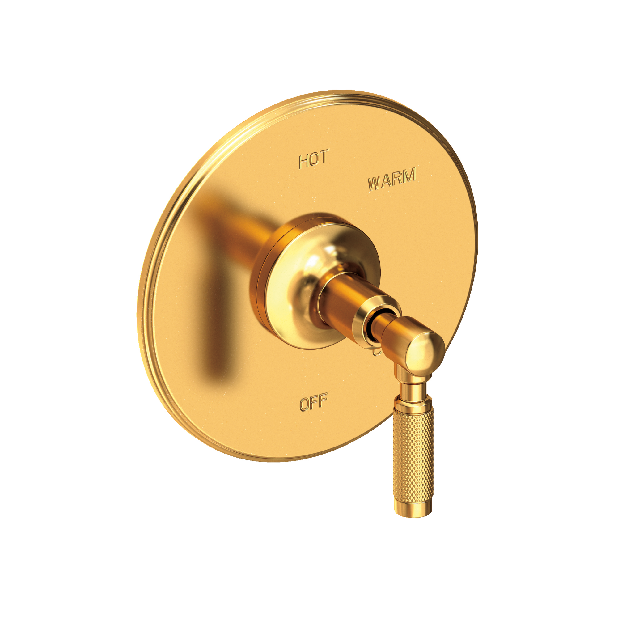 Newport Brass Clemens Balanced Pressure Shower Trim Plate with Handle