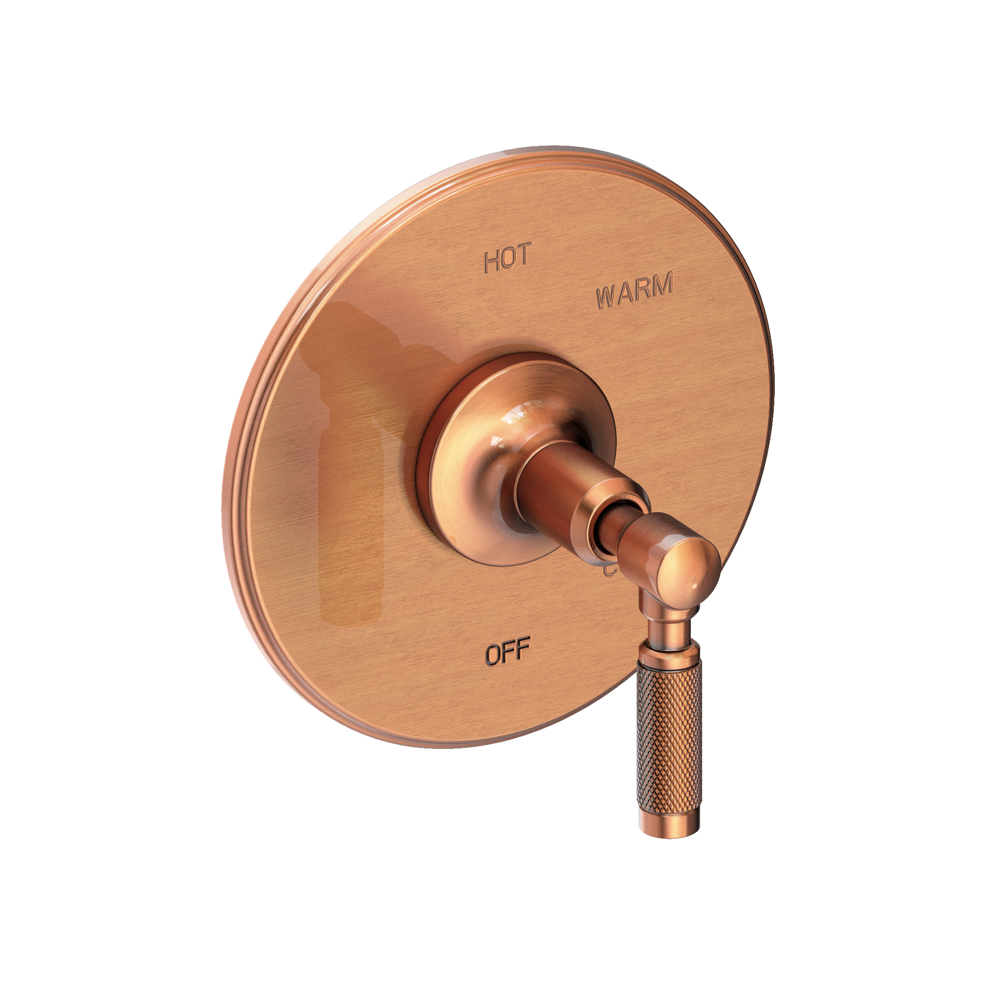 Newport Brass Clemens Balanced Pressure Shower Trim Plate with Handle