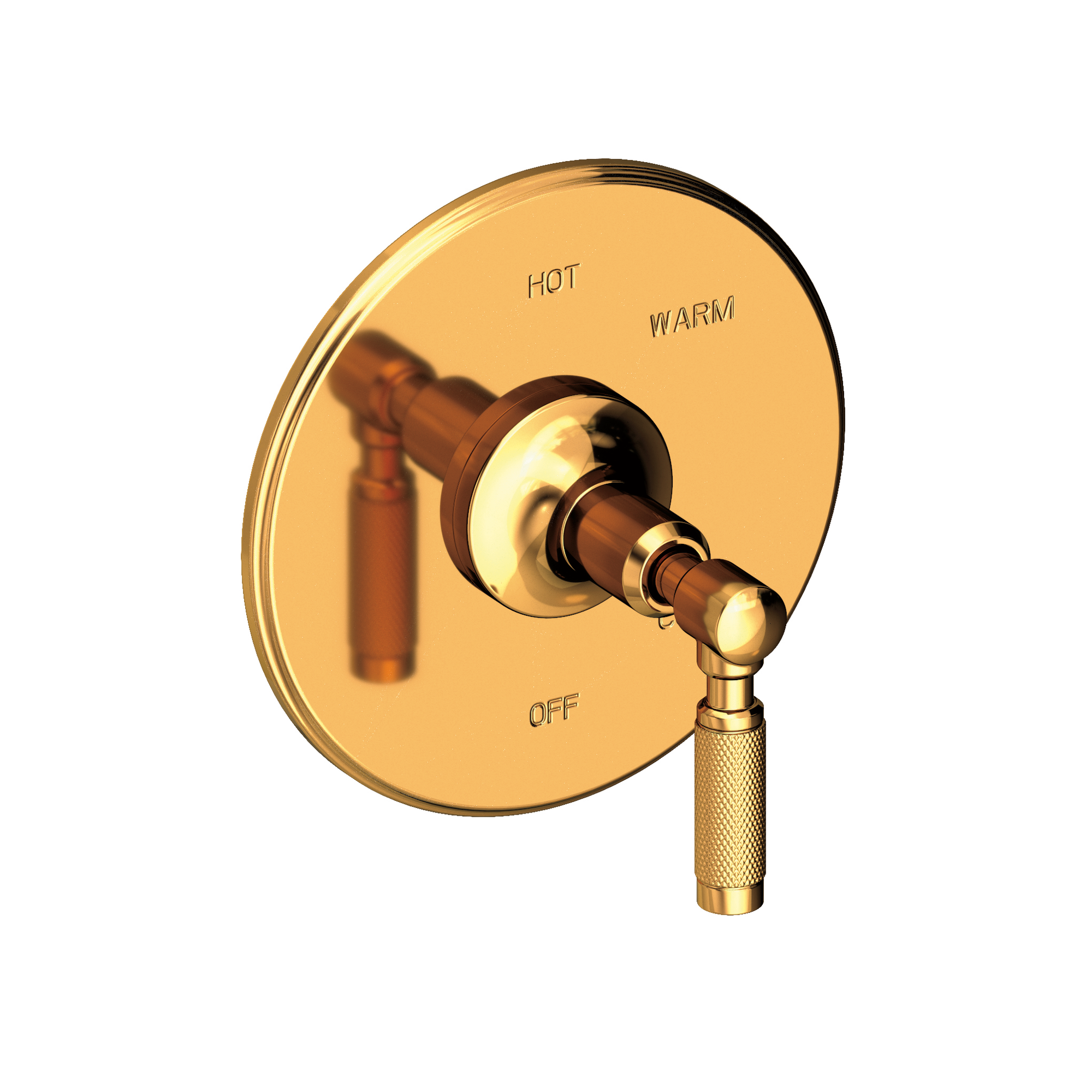 Newport Brass Clemens Balanced Pressure Shower Trim Plate with Handle