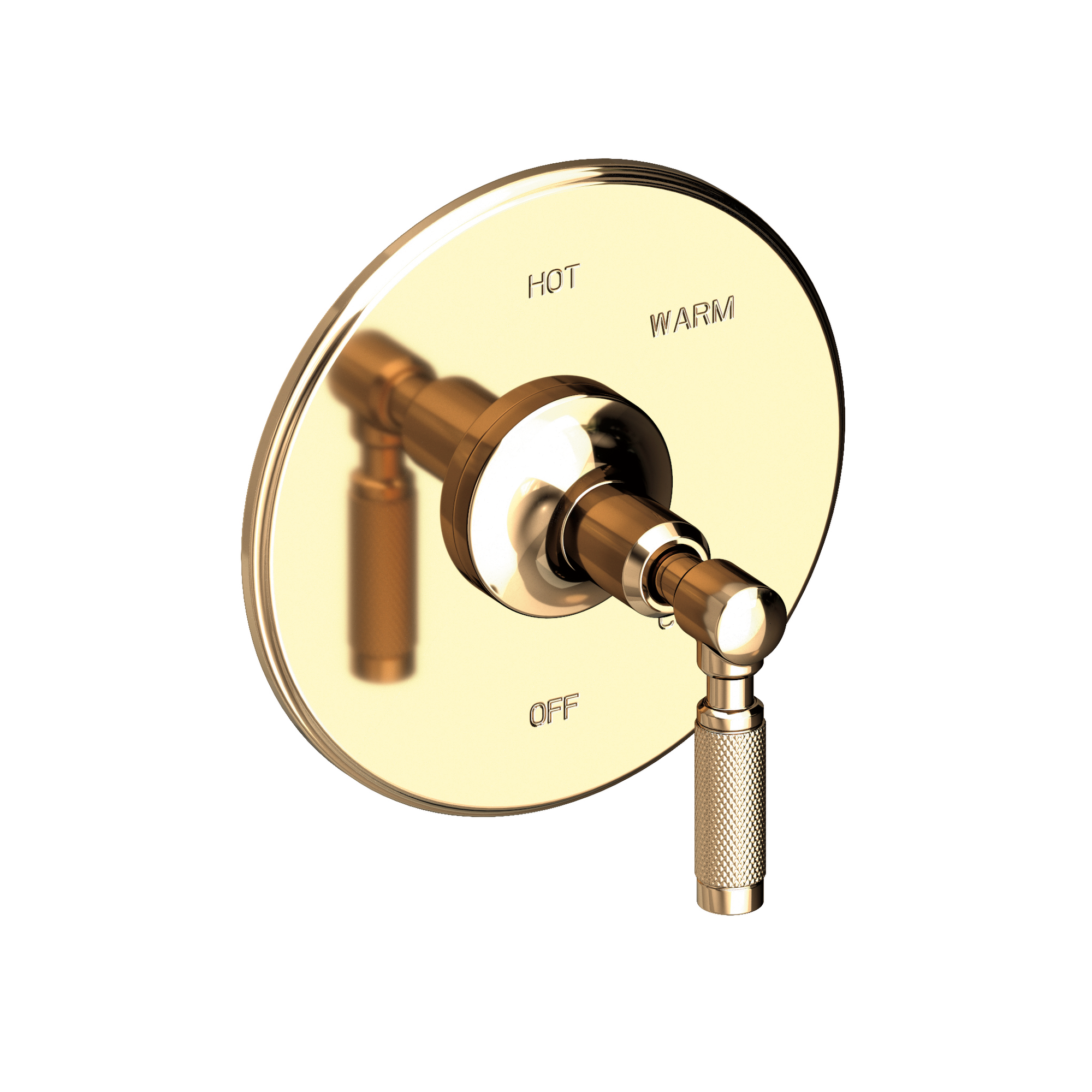 Newport Brass Clemens Balanced Pressure Shower Trim Plate with Handle