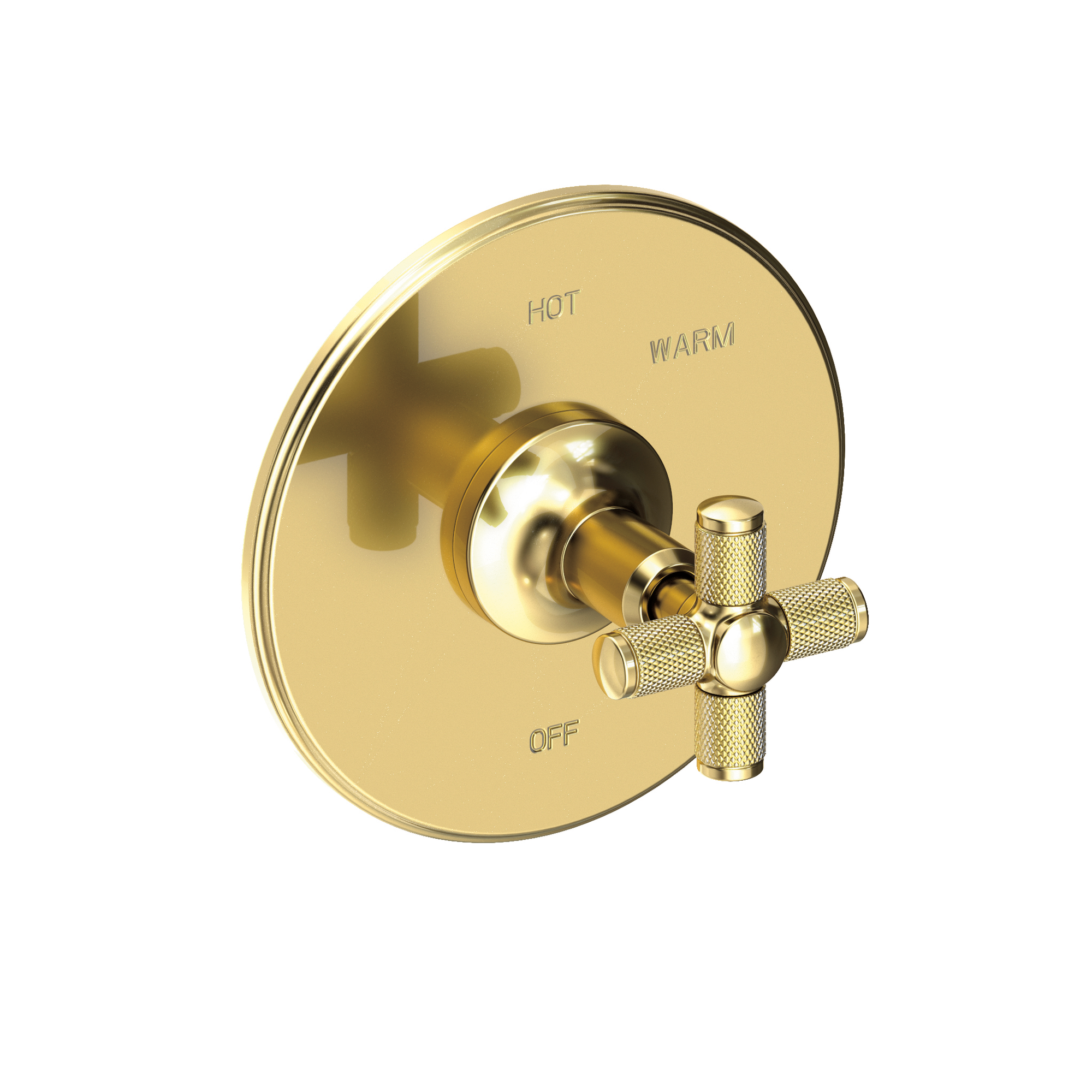 Newport Brass Clemens Balanced Pressure Shower Trim Plate with Handle