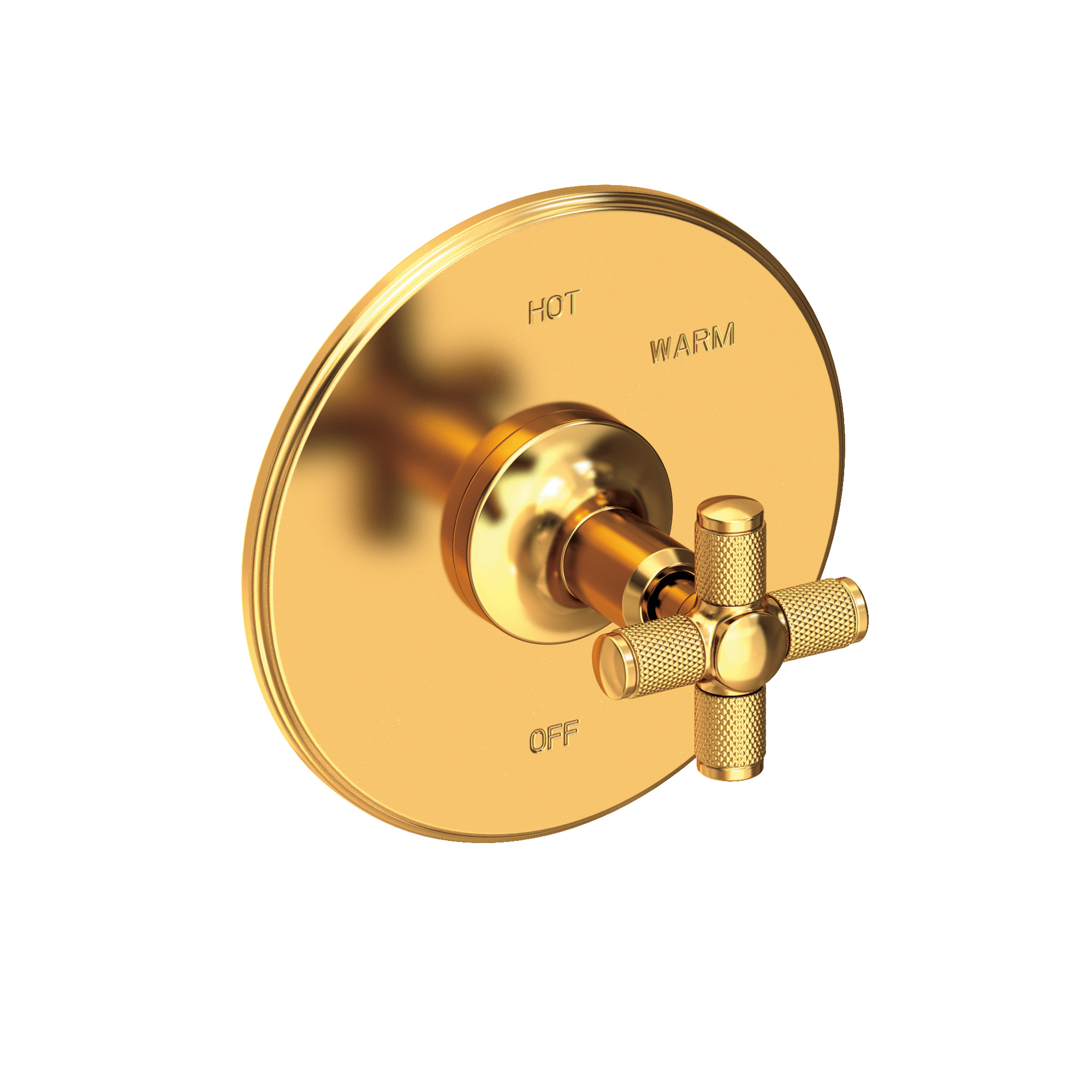 Newport Brass Clemens Balanced Pressure Shower Trim Plate with Handle