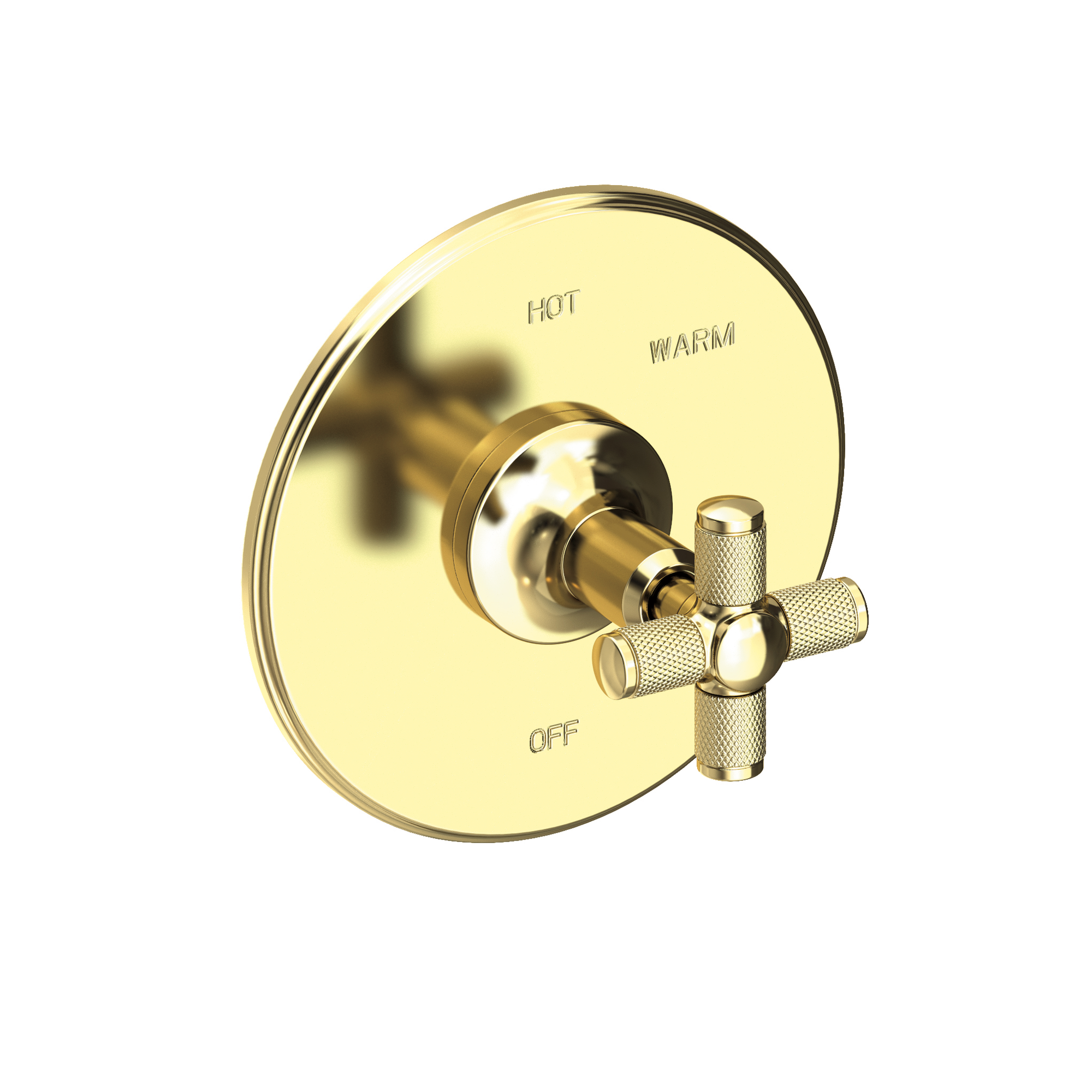 Newport Brass Clemens Balanced Pressure Shower Trim Plate with Handle