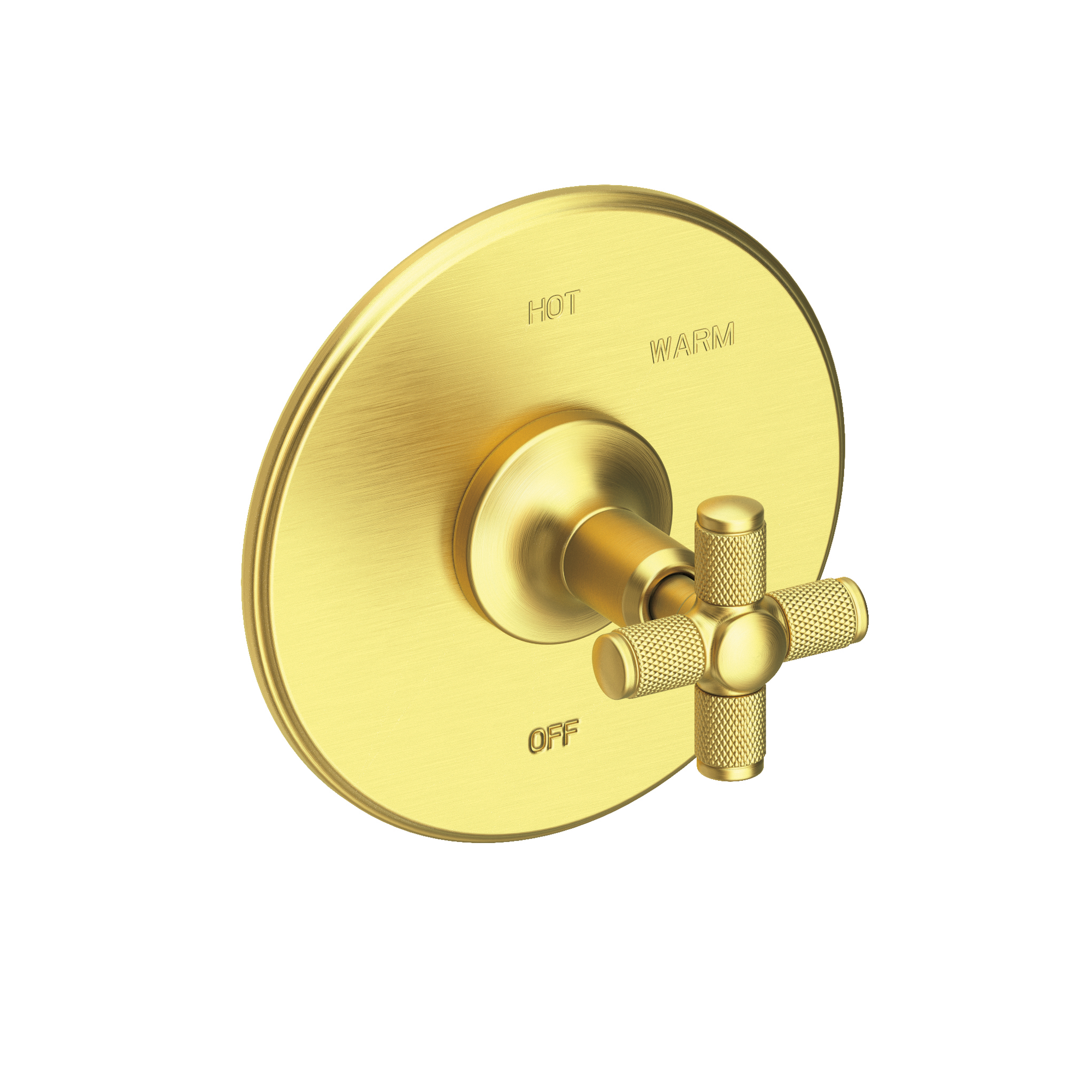 Newport Brass Clemens Balanced Pressure Shower Trim Plate with Handle