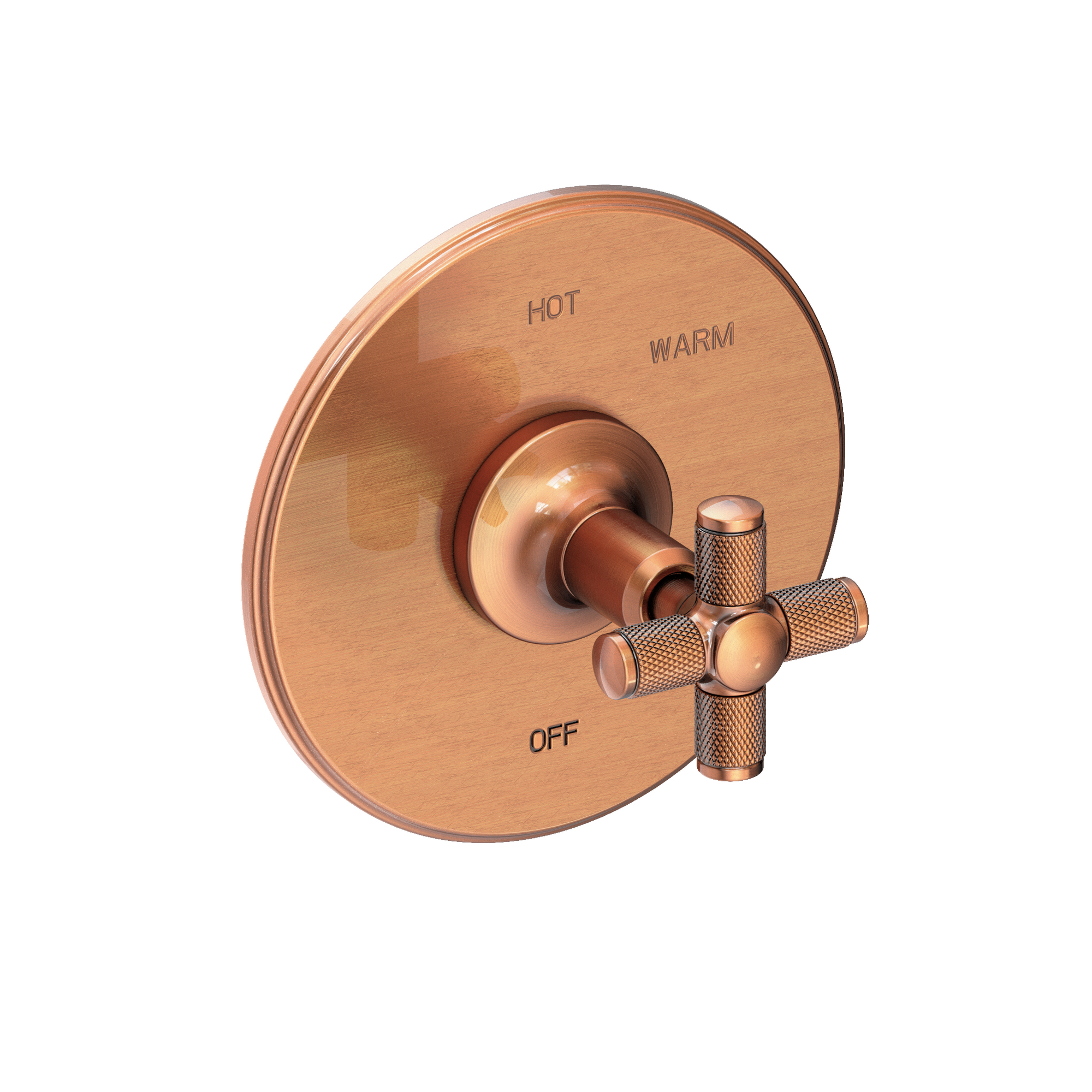 Newport Brass Clemens Balanced Pressure Shower Trim Plate with Handle