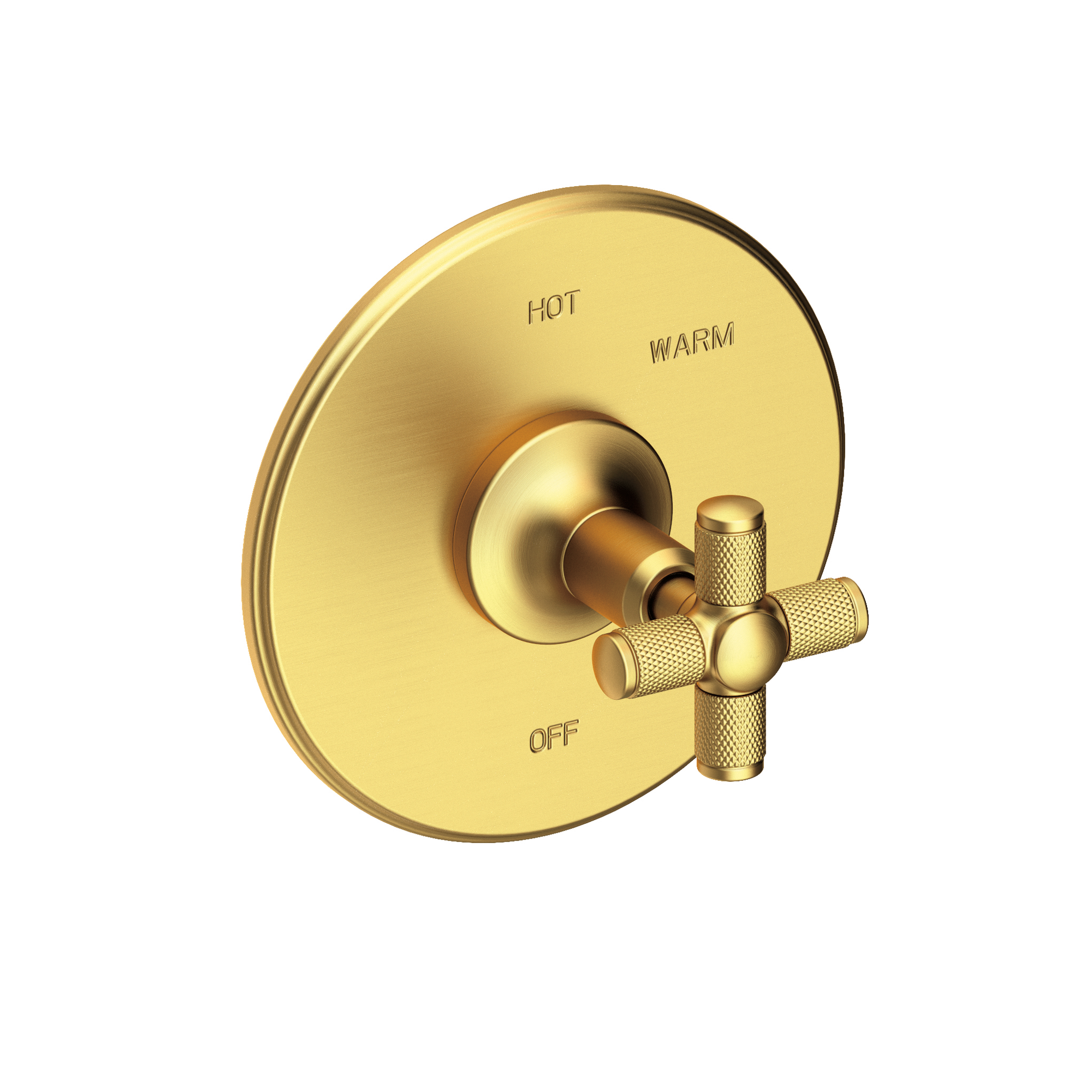 Newport Brass Clemens Balanced Pressure Shower Trim Plate with Handle