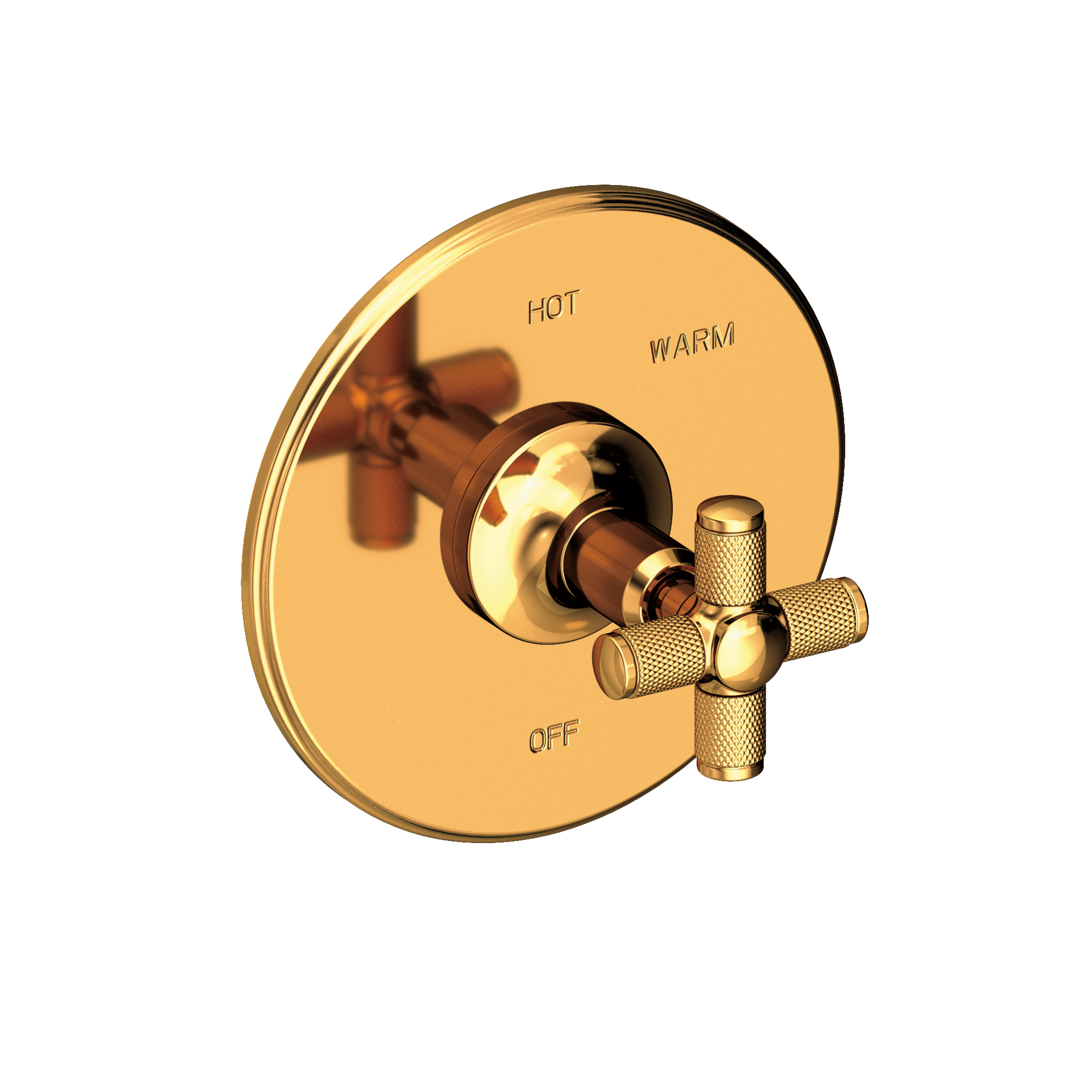 Newport Brass Clemens Balanced Pressure Shower Trim Plate with Handle