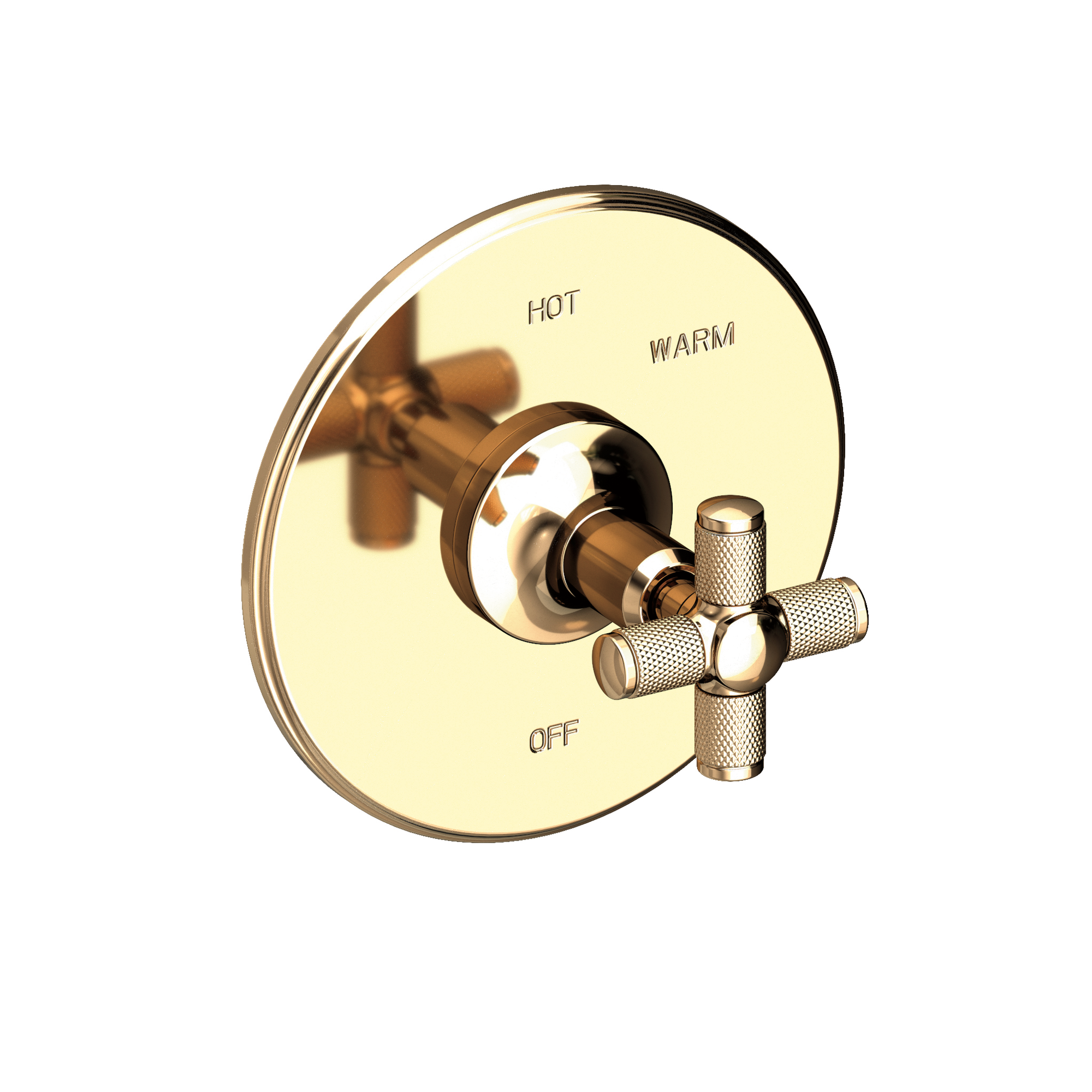 Newport Brass Clemens Balanced Pressure Shower Trim Plate with Handle