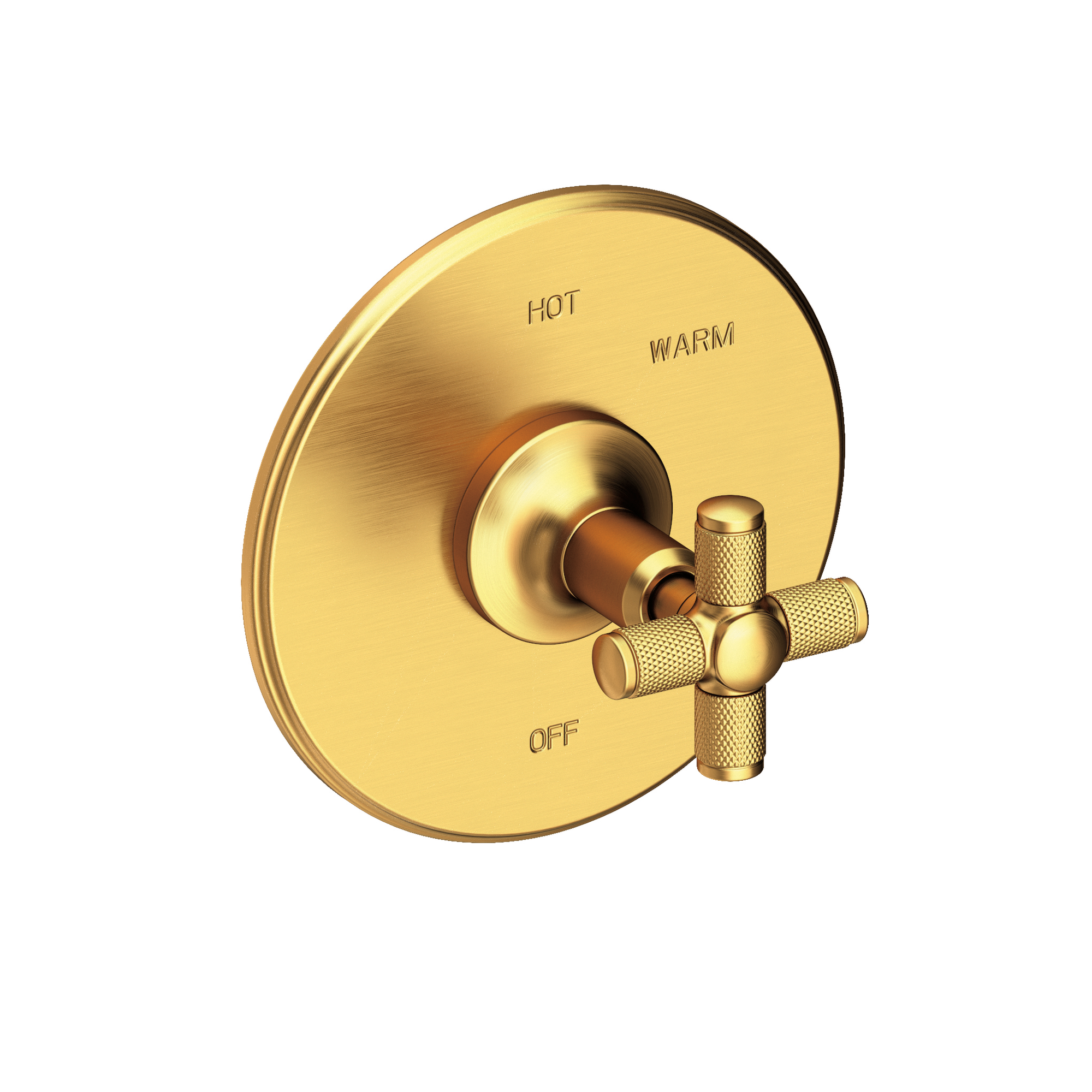 Newport Brass Clemens Balanced Pressure Shower Trim Plate with Handle