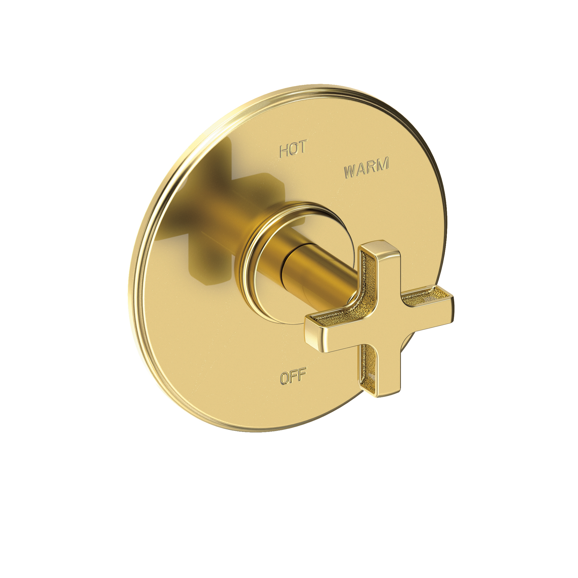 Newport Brass Griffey Balanced Pressure Shower Trim Plate with Handle