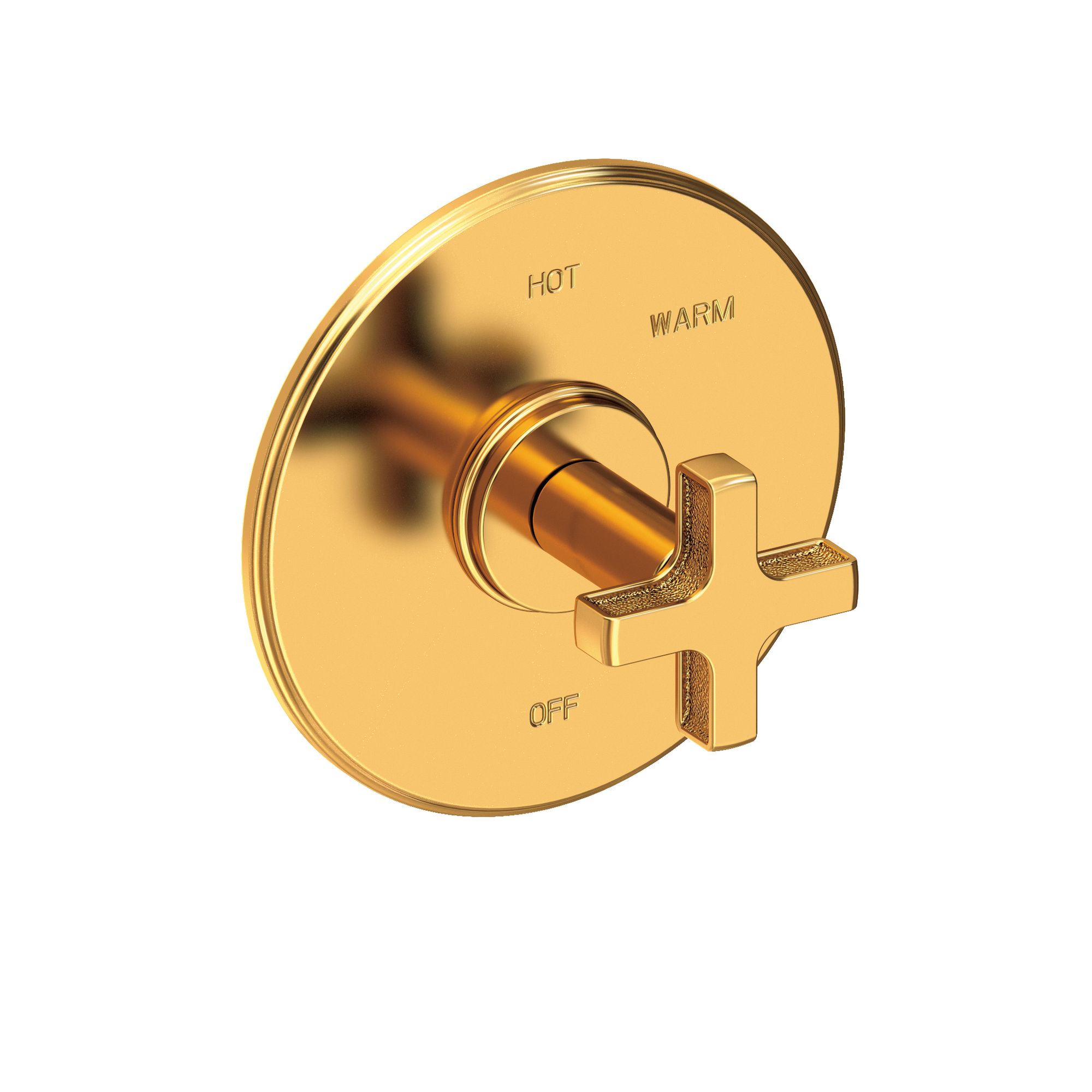 Newport Brass Griffey Balanced Pressure Shower Trim Plate with Handle