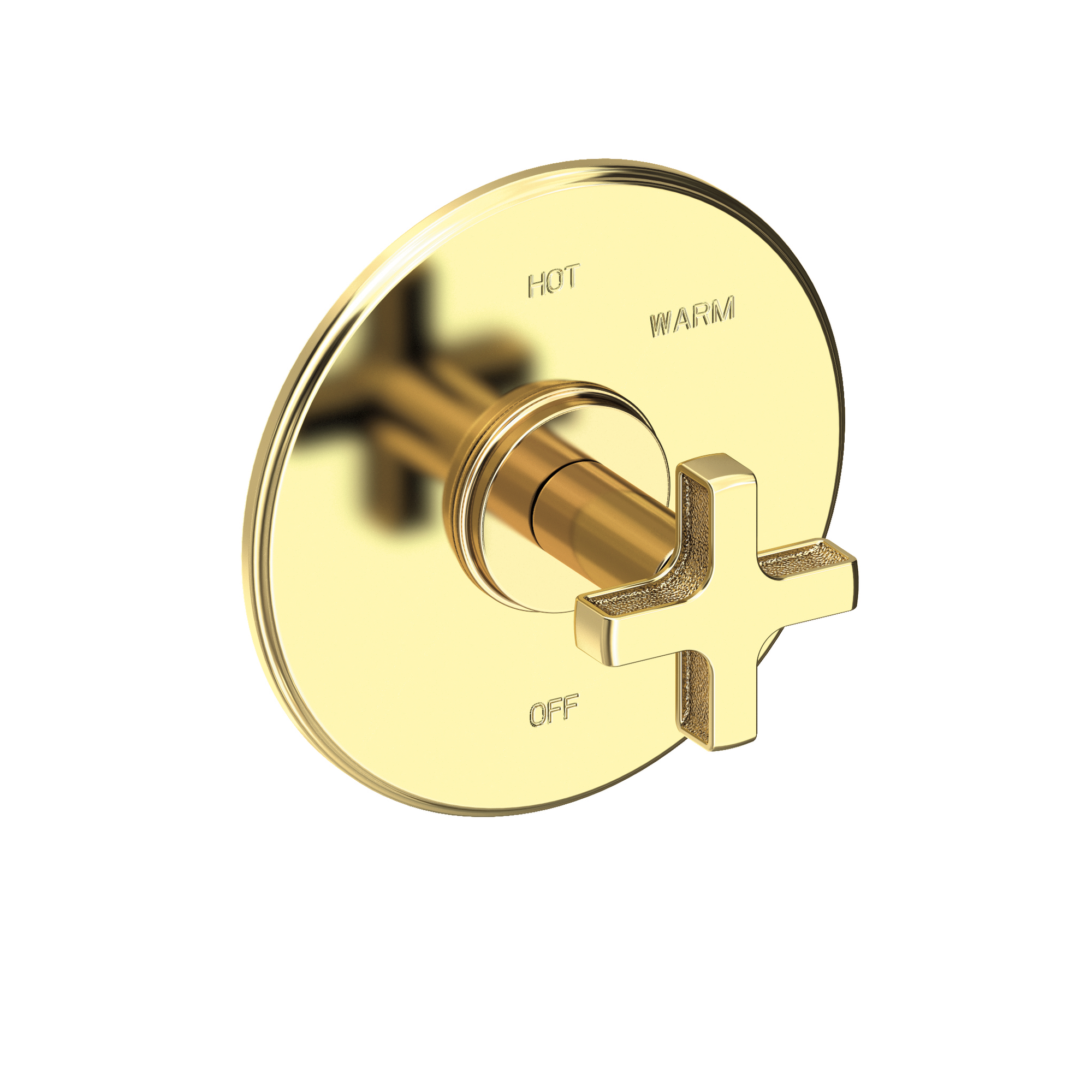 Newport Brass Griffey Balanced Pressure Shower Trim Plate with Handle