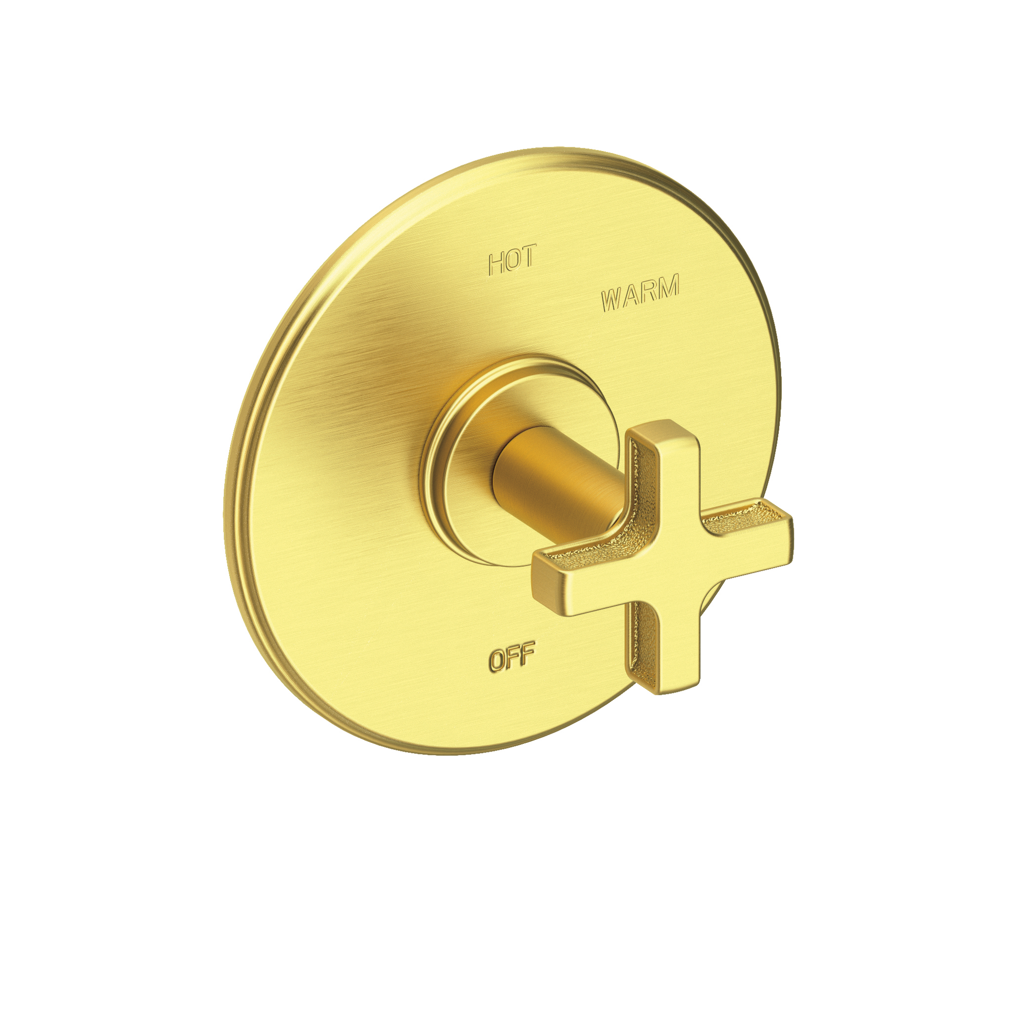 Newport Brass Griffey Balanced Pressure Shower Trim Plate with Handle