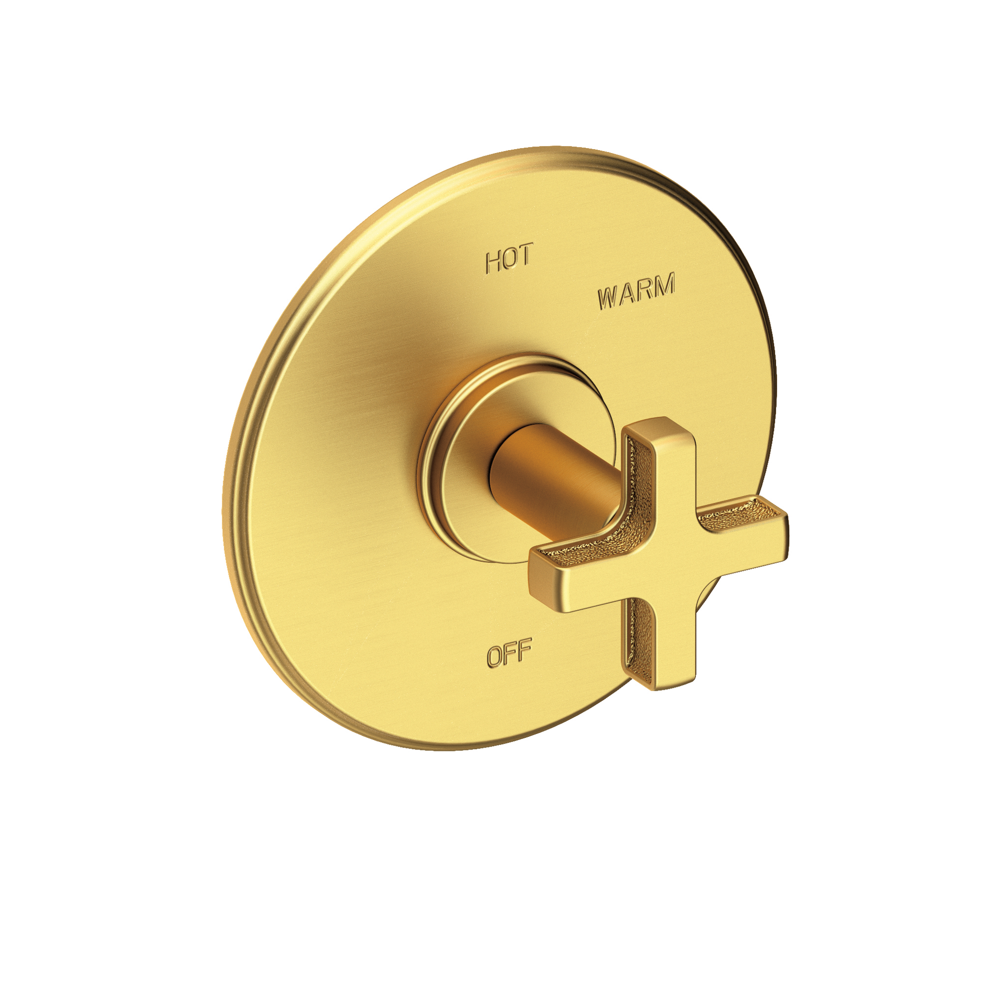Newport Brass Griffey Balanced Pressure Shower Trim Plate with Handle