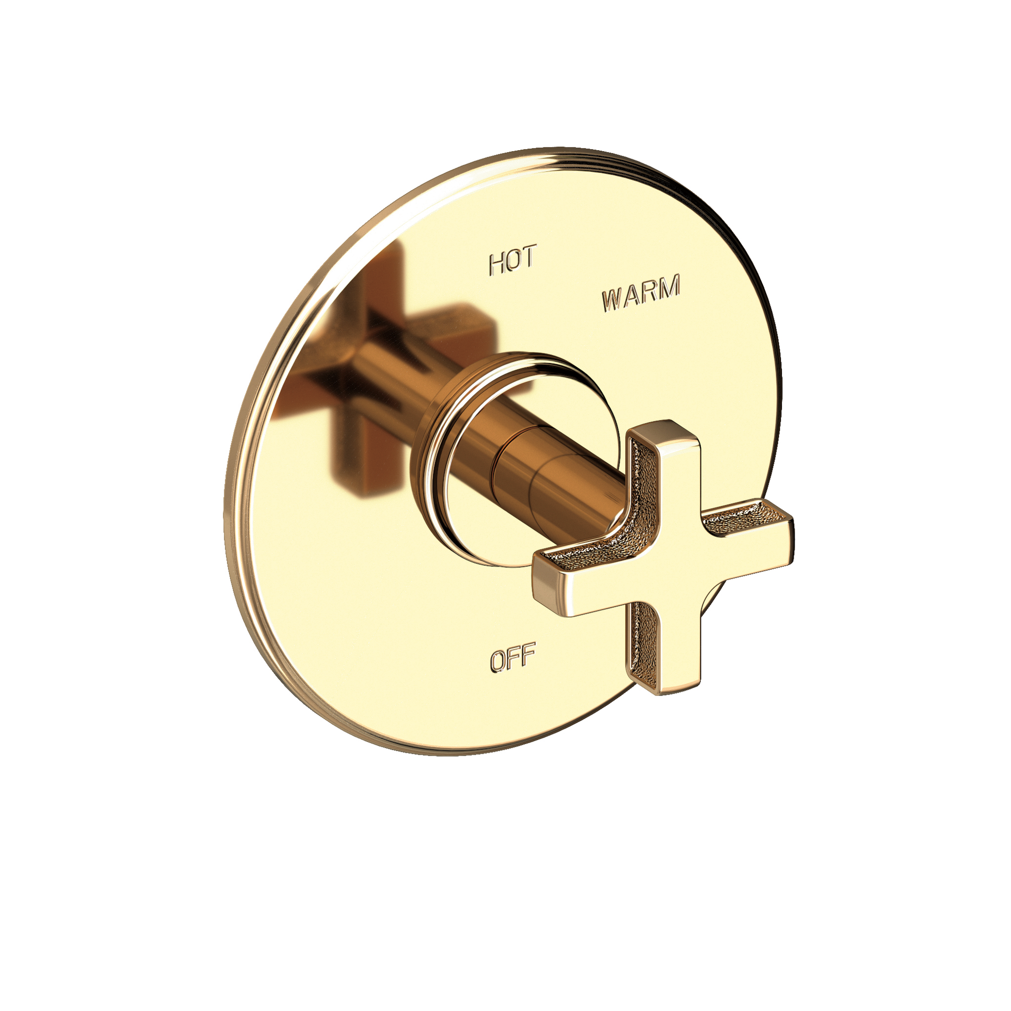 Newport Brass Griffey Balanced Pressure Shower Trim Plate with Handle