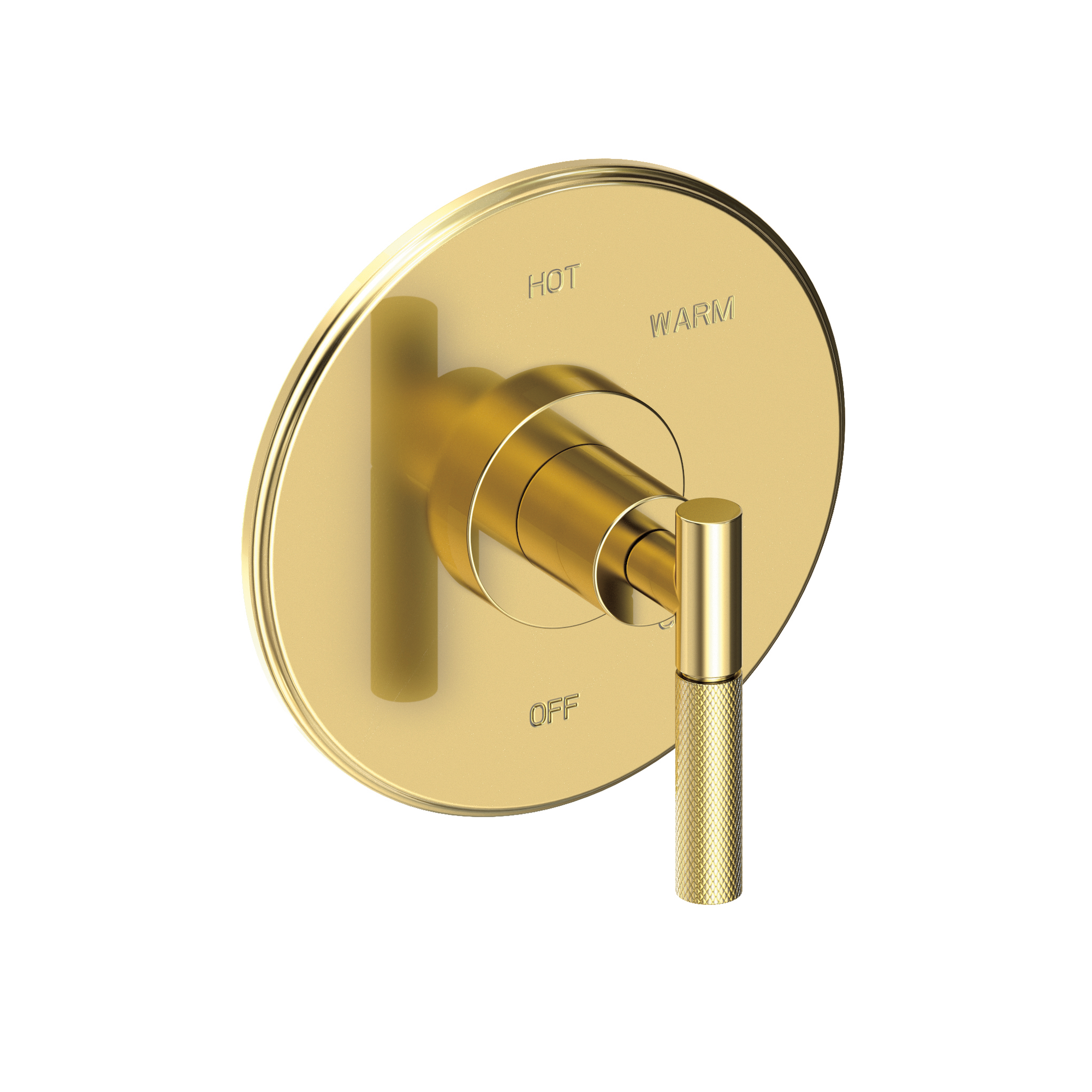 Newport Brass Muncy Balanced Pressure Shower Trim Plate with Handle