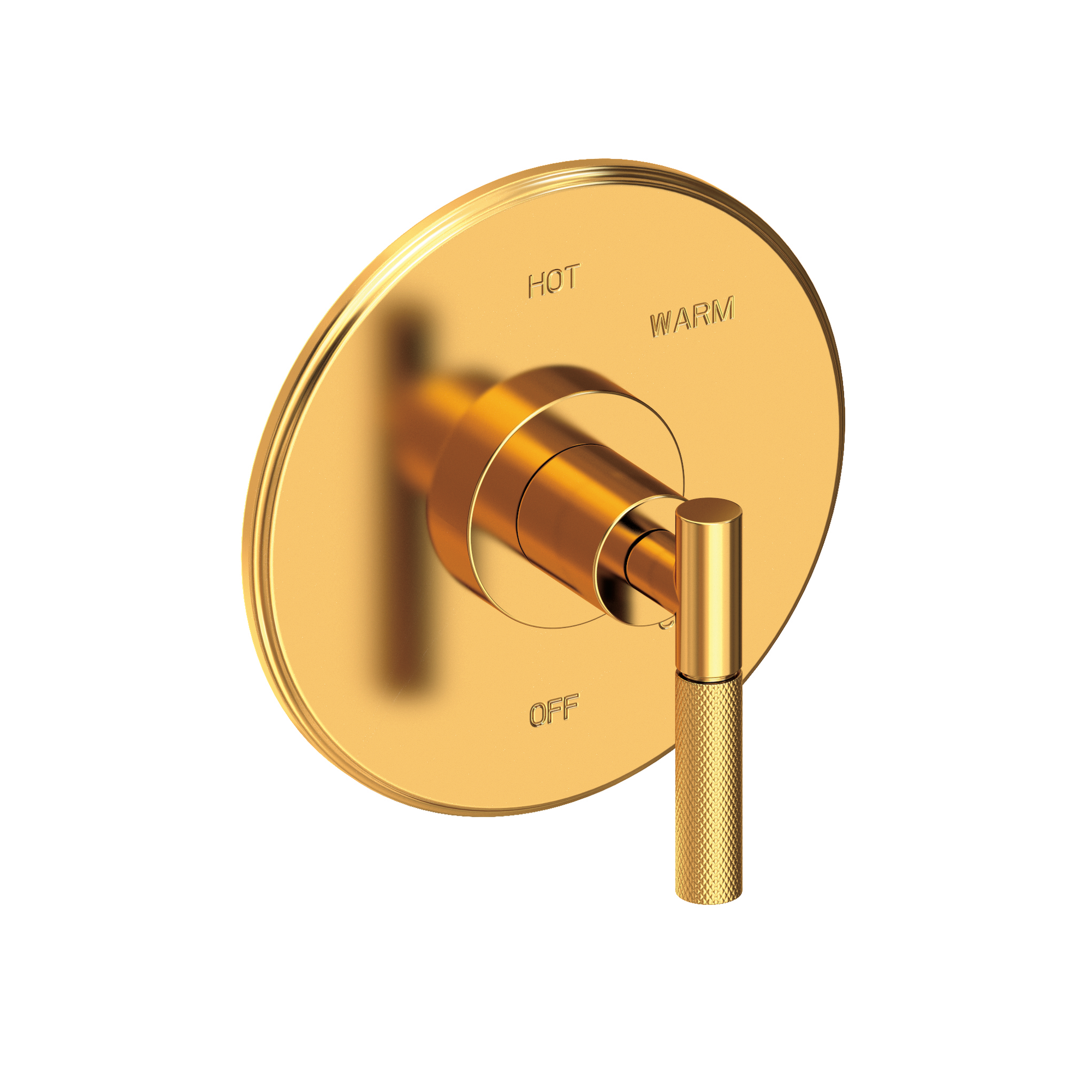 Newport Brass Muncy Balanced Pressure Shower Trim Plate with Handle