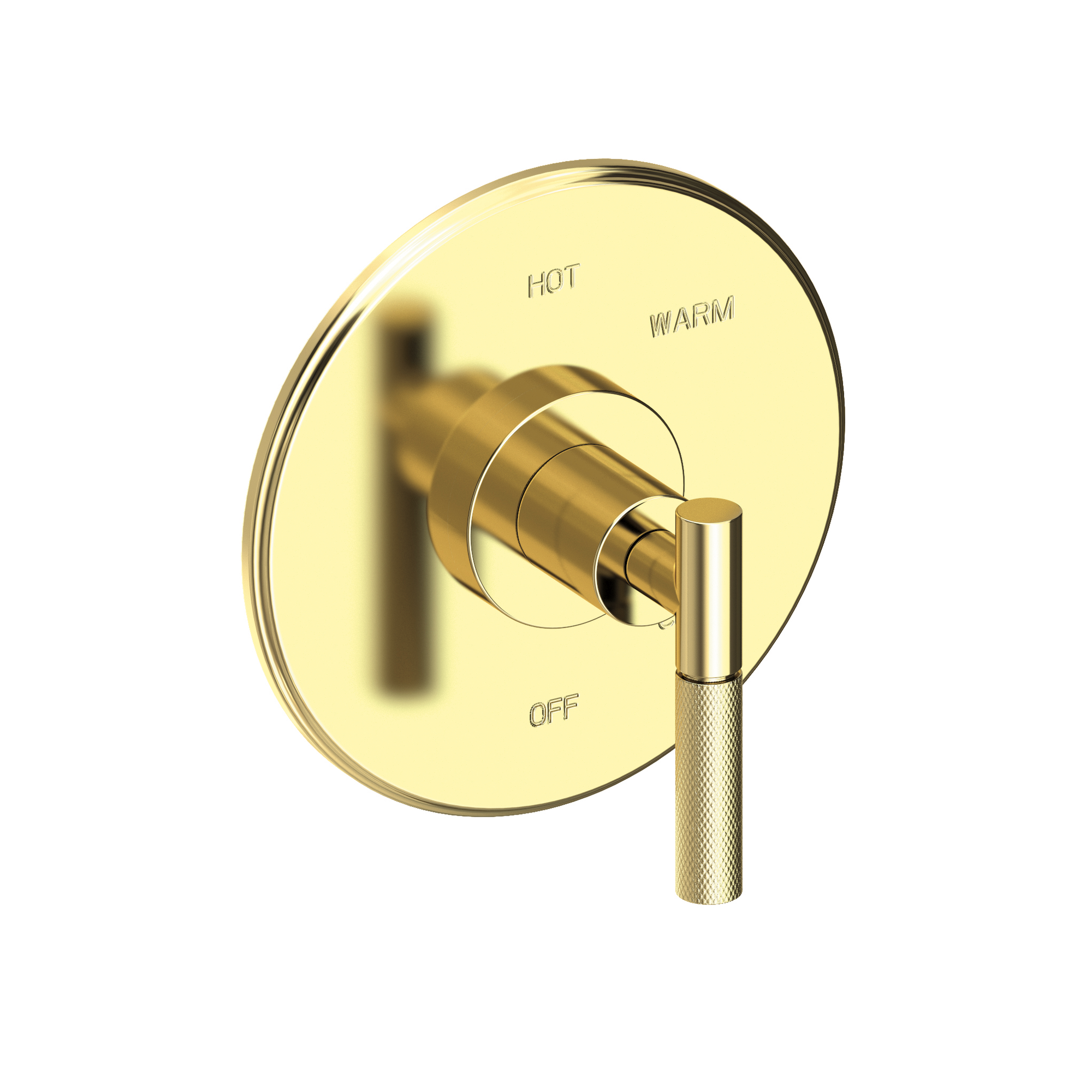 Newport Brass Muncy Balanced Pressure Shower Trim Plate with Handle