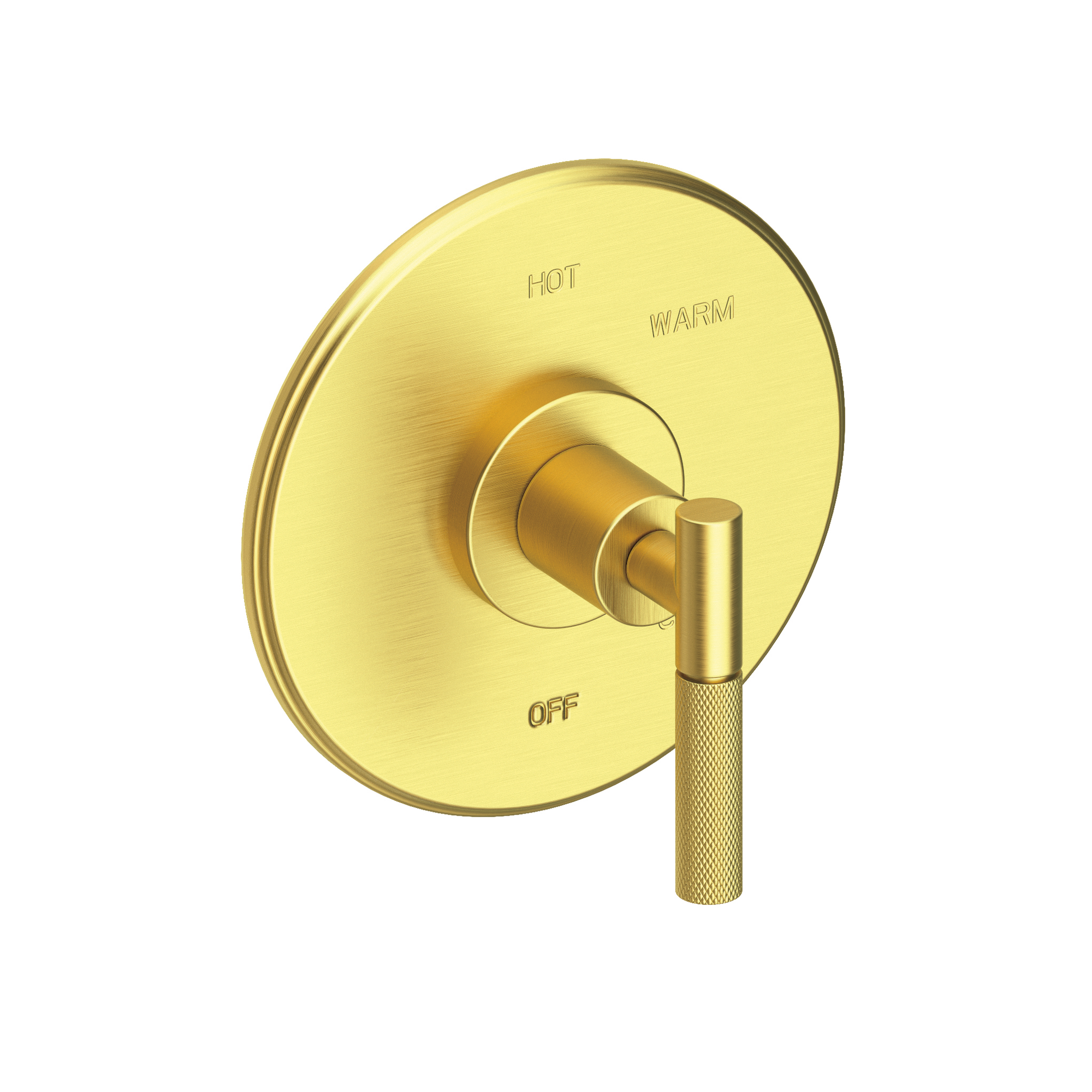 Newport Brass Muncy Balanced Pressure Shower Trim Plate with Handle