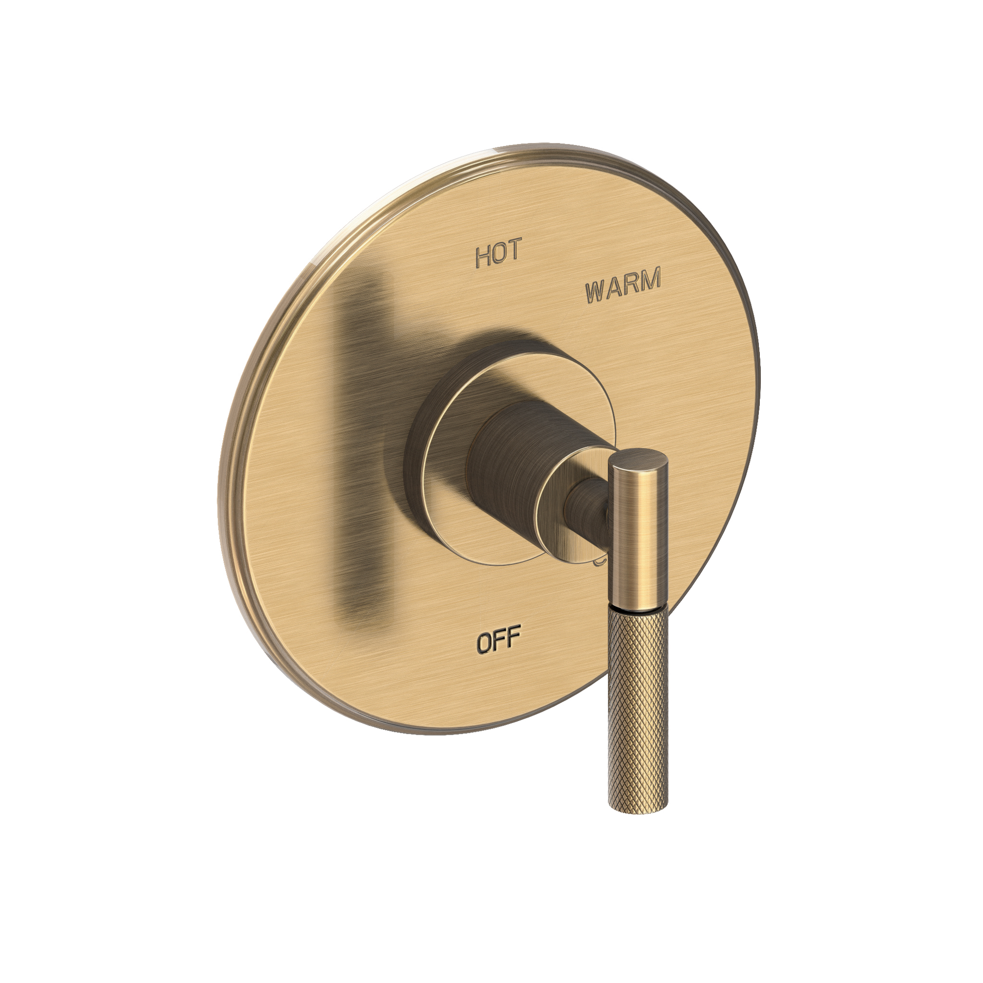 Newport Brass Muncy Balanced Pressure Shower Trim Plate with Handle