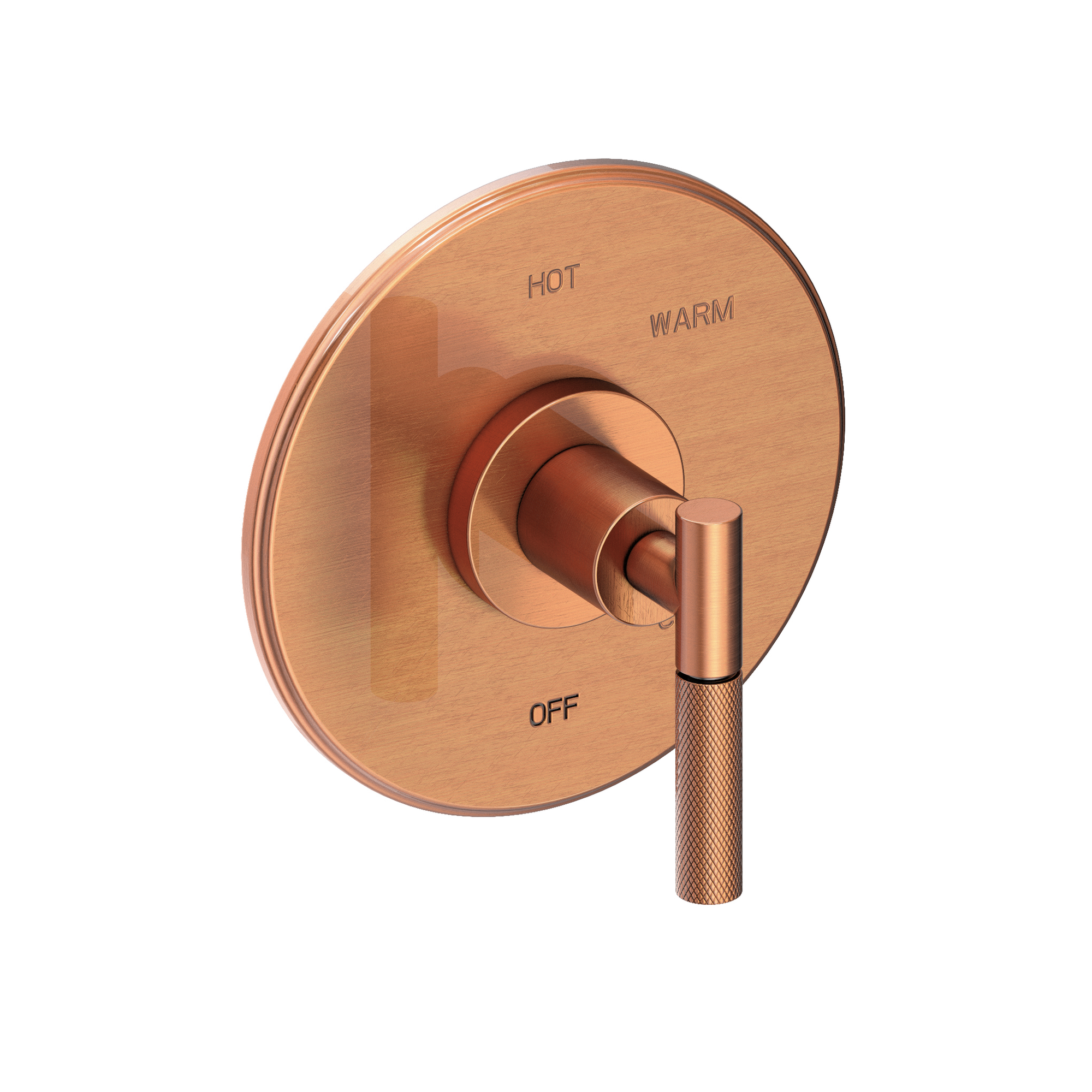 Newport Brass Muncy Balanced Pressure Shower Trim Plate with Handle