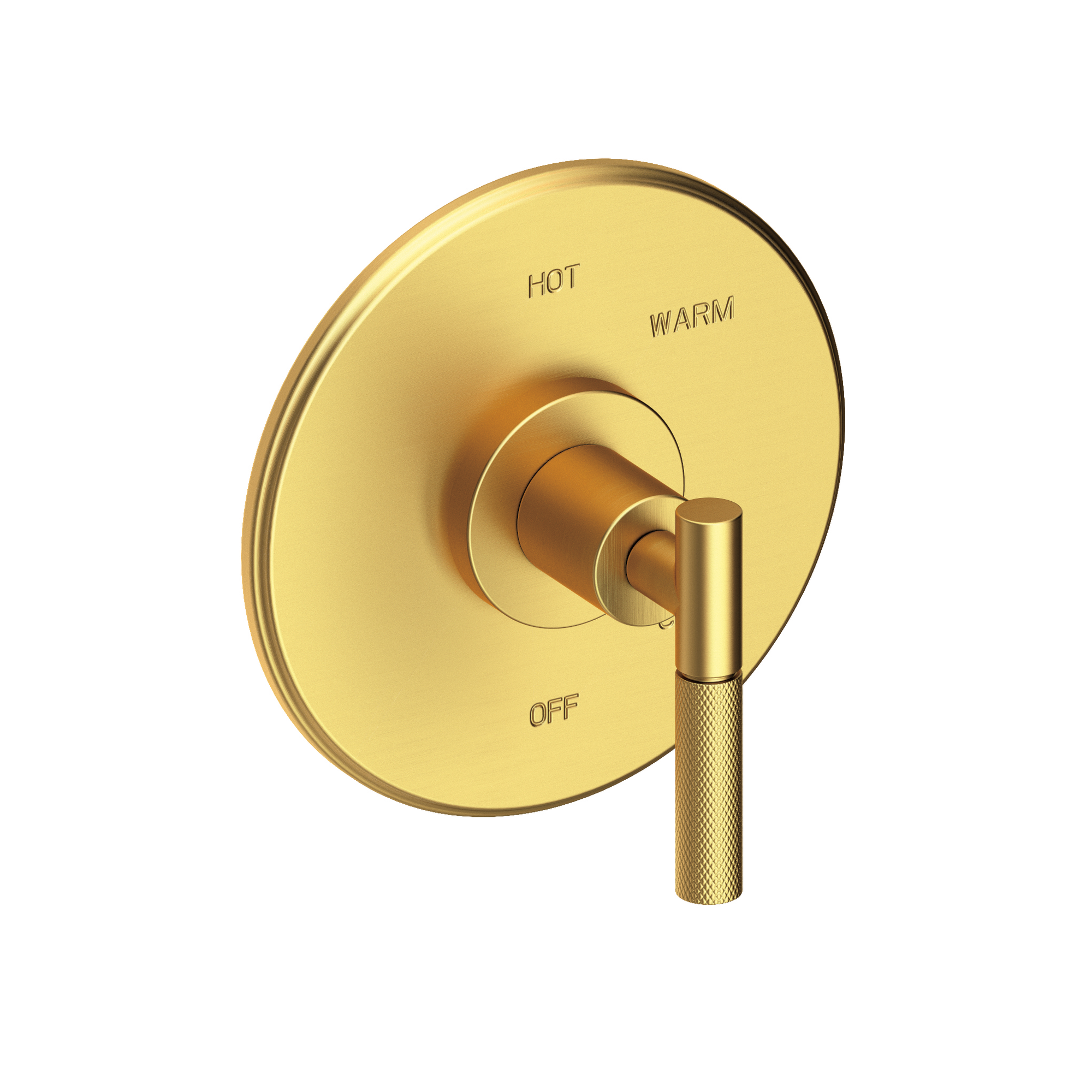 Newport Brass Muncy Balanced Pressure Shower Trim Plate with Handle