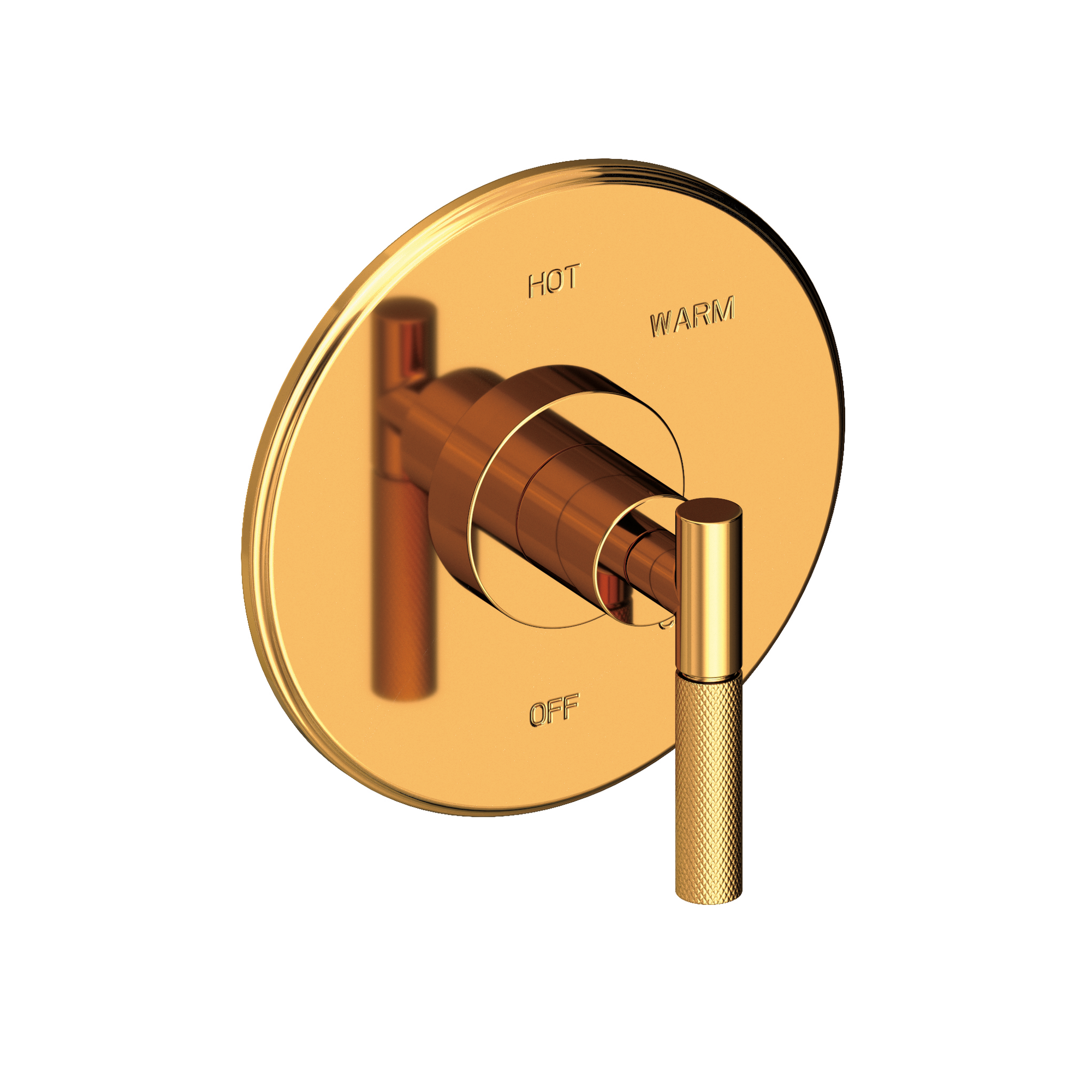 Newport Brass Muncy Balanced Pressure Shower Trim Plate with Handle