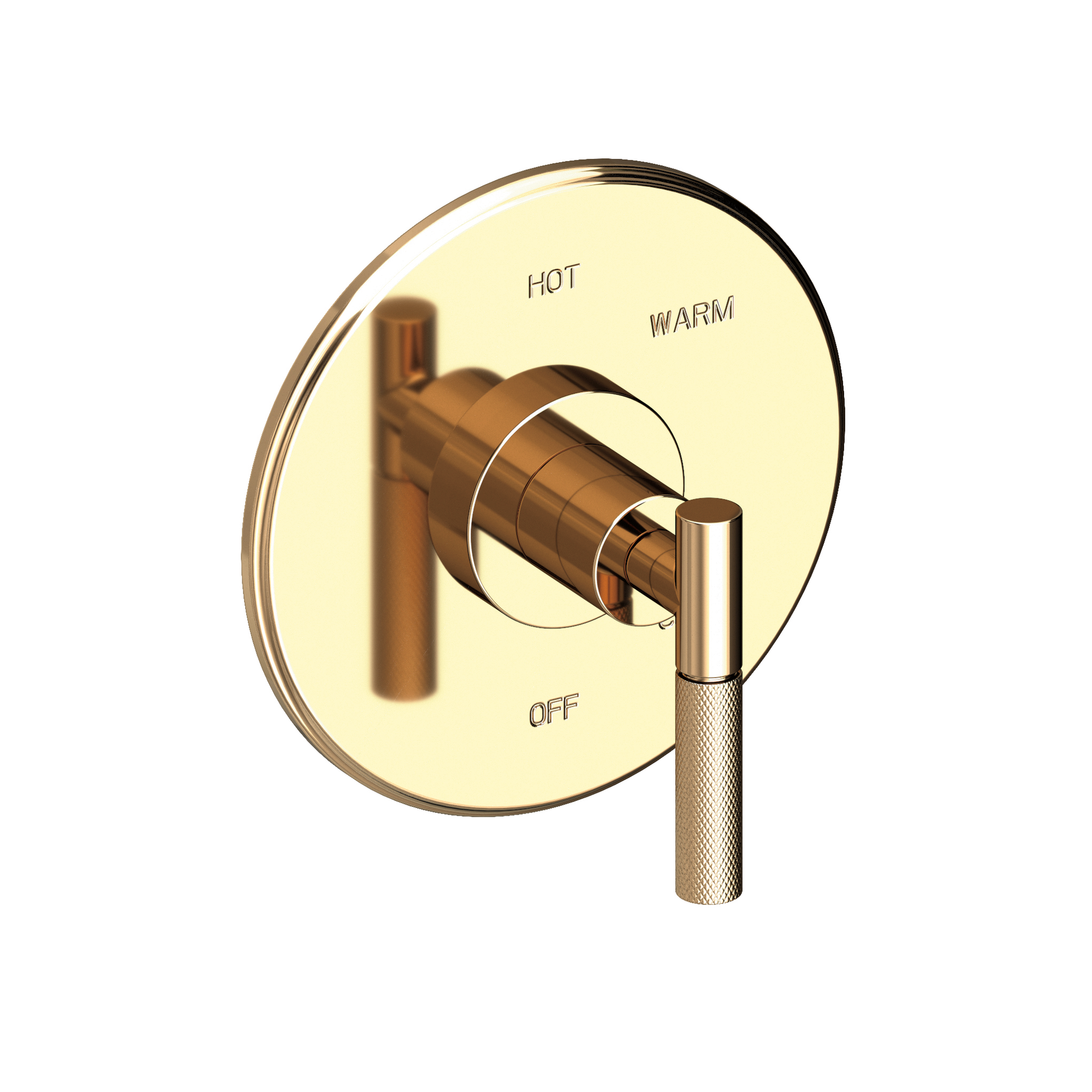 Newport Brass Muncy Balanced Pressure Shower Trim Plate with Handle