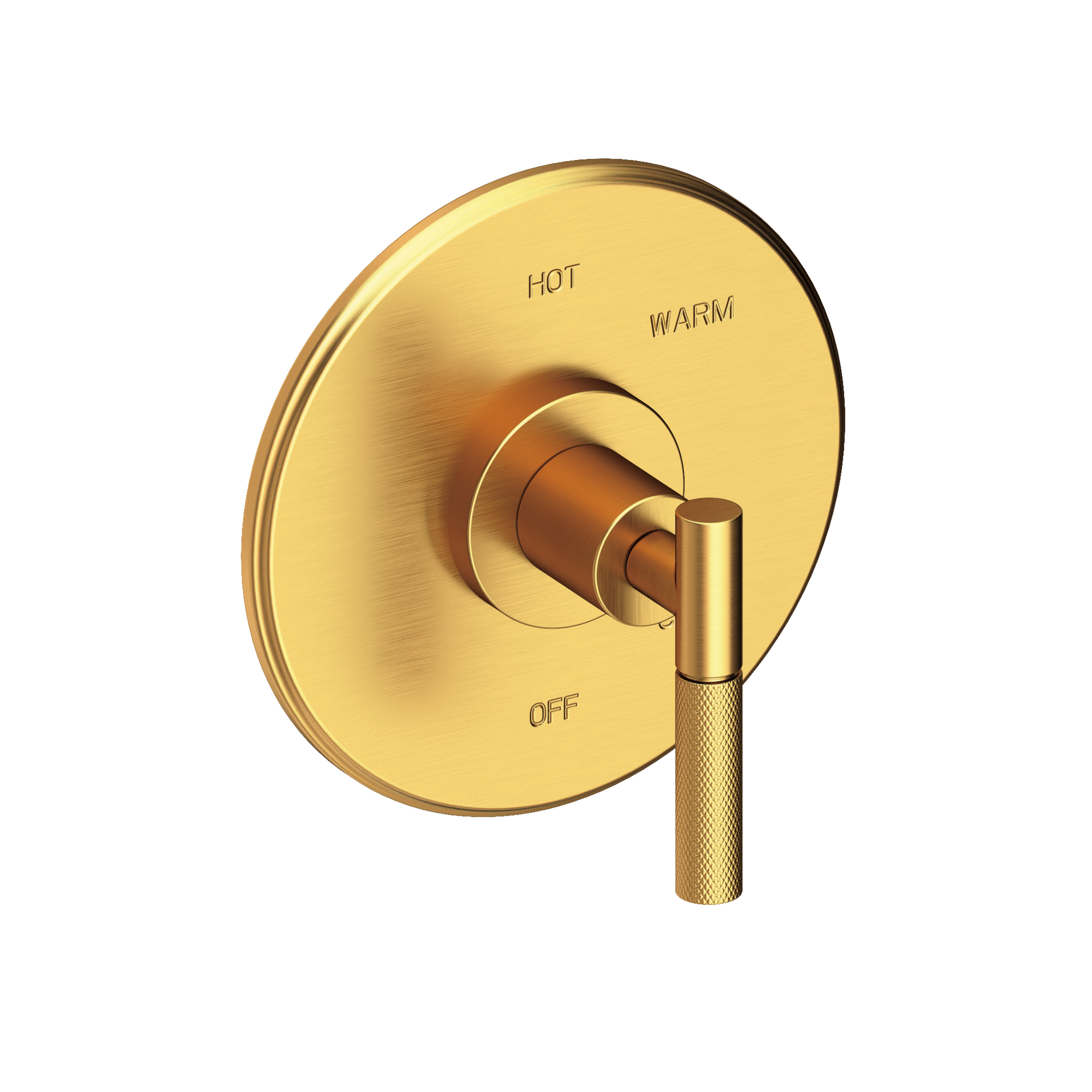 Newport Brass Muncy Balanced Pressure Shower Trim Plate with Handle
