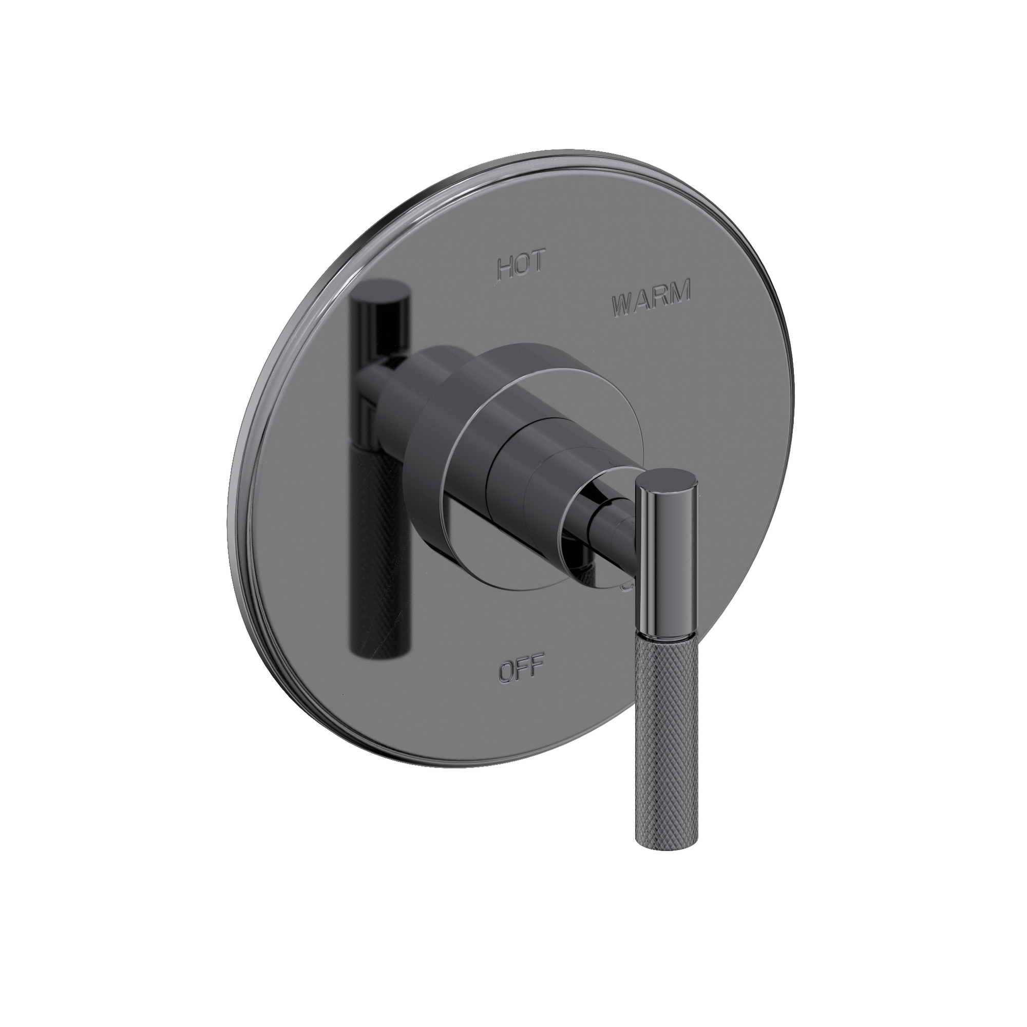 Newport Brass Muncy Balanced Pressure Shower Trim Plate with Handle