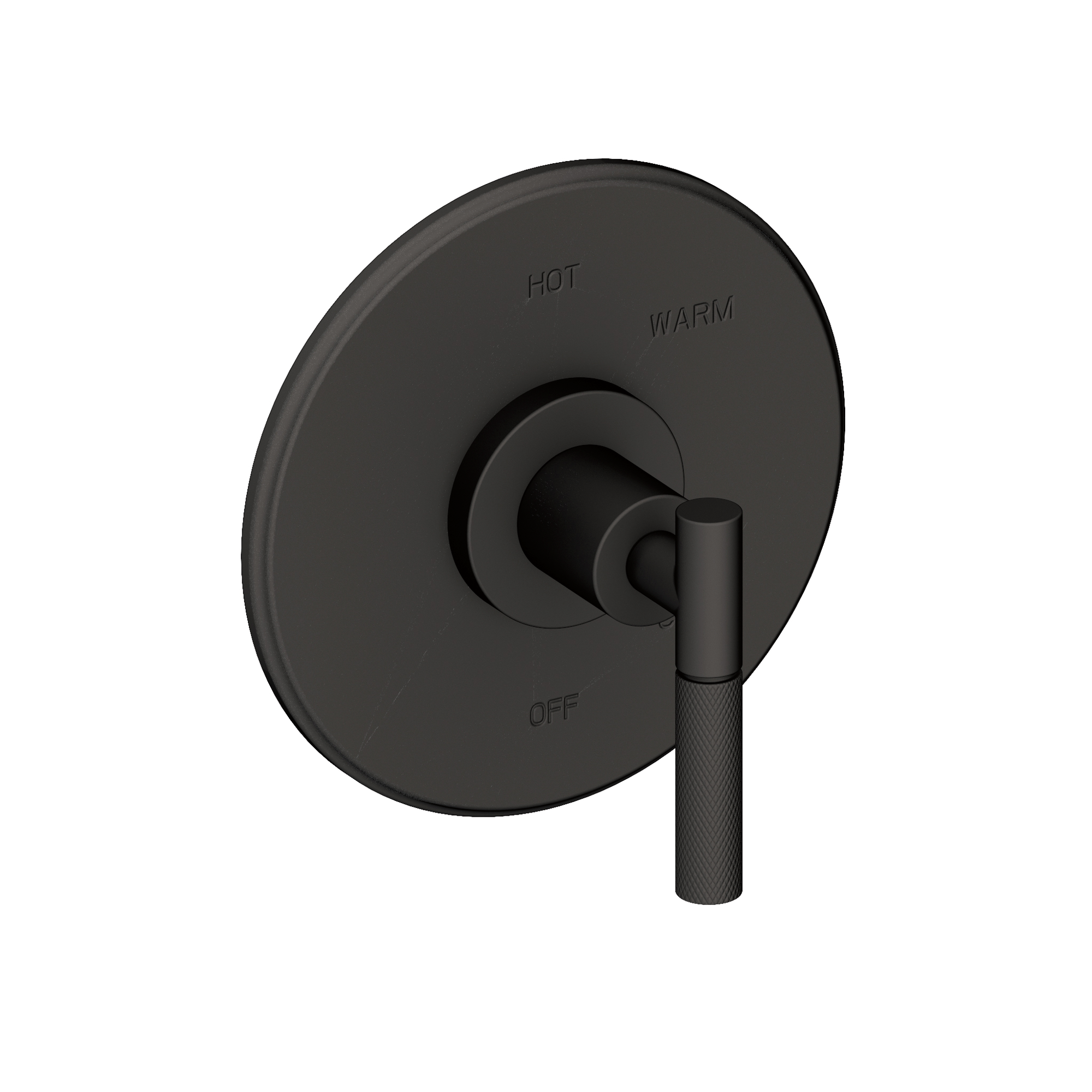 Newport Brass Muncy Balanced Pressure Shower Trim Plate with Handle