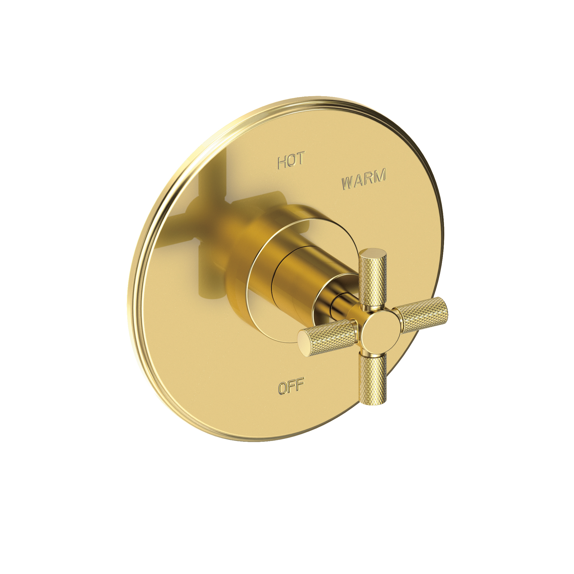 Newport Brass Muncy Balanced Pressure Shower Trim Plate with Handle