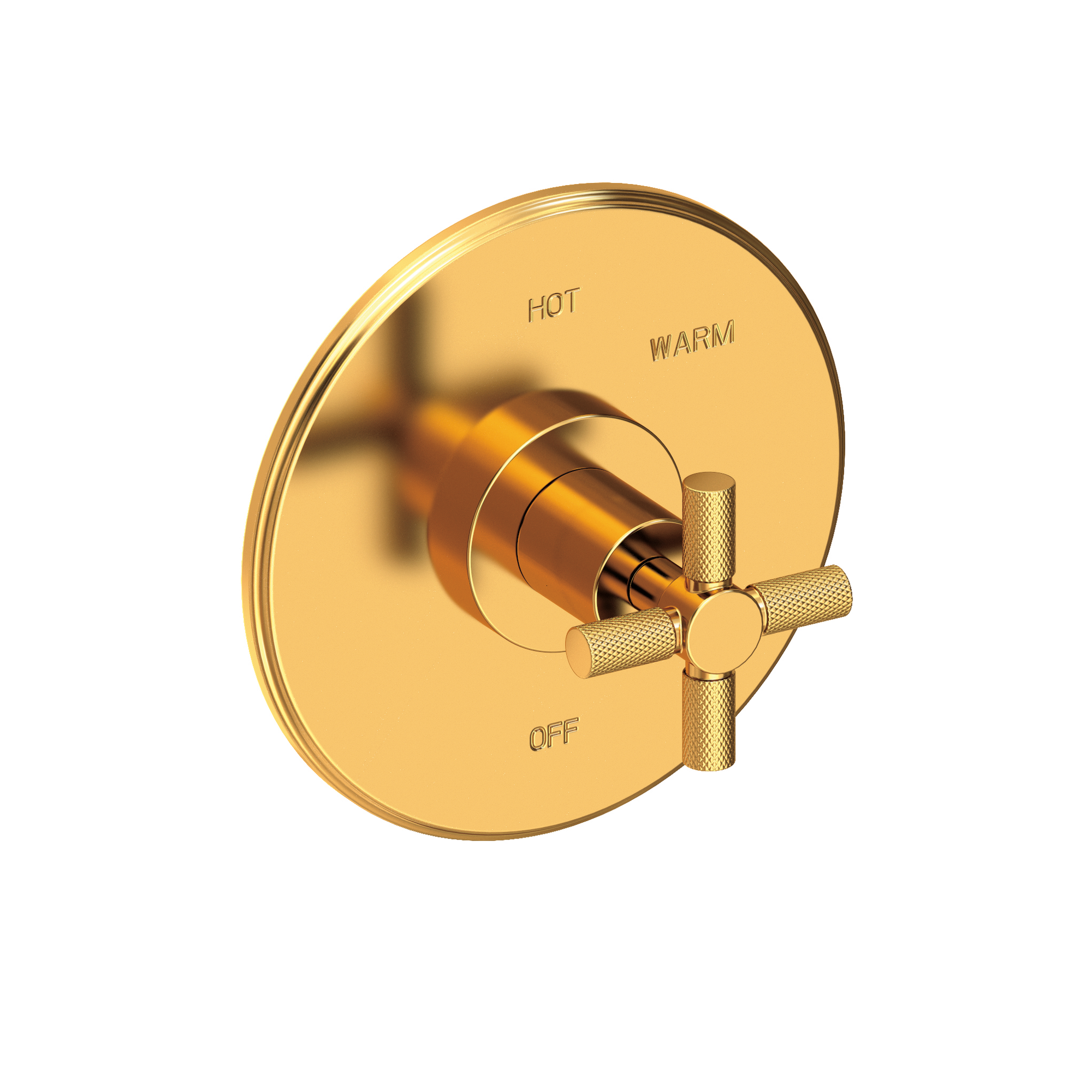 Newport Brass Muncy Balanced Pressure Shower Trim Plate with Handle