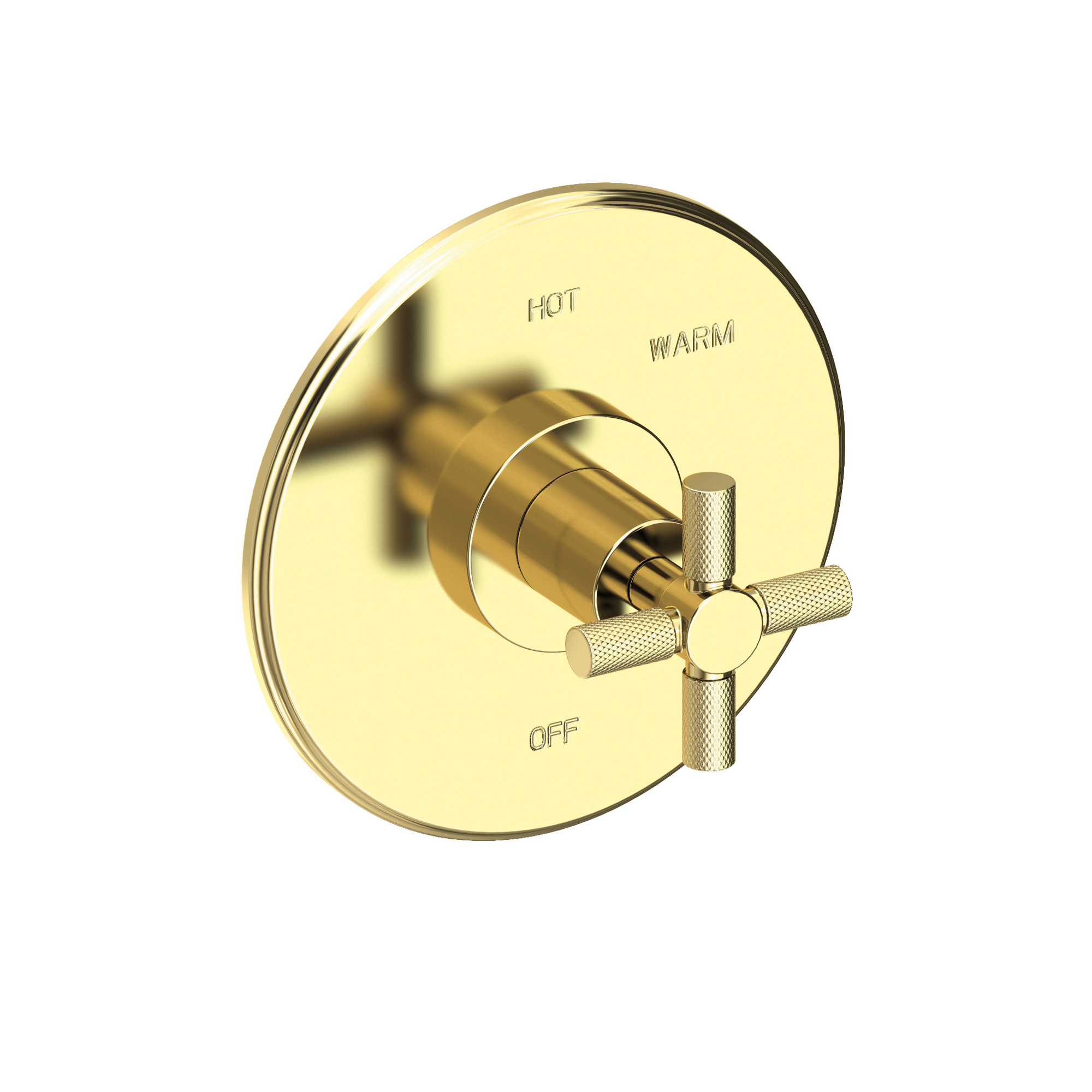 Newport Brass Muncy Balanced Pressure Shower Trim Plate with Handle