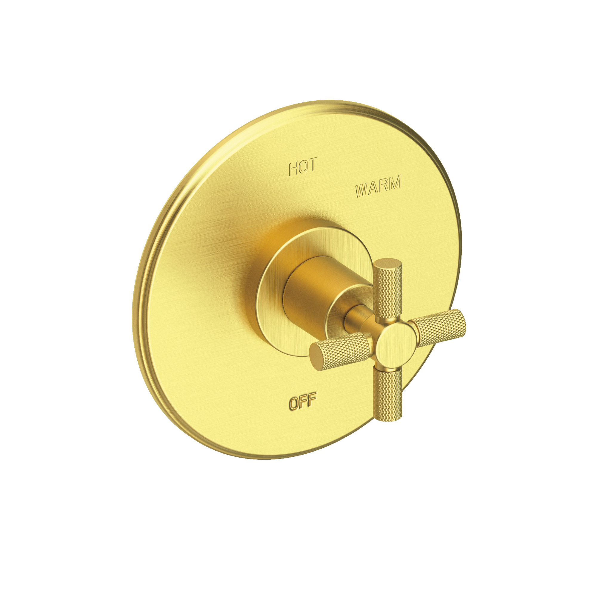 Newport Brass Muncy Balanced Pressure Shower Trim Plate with Handle